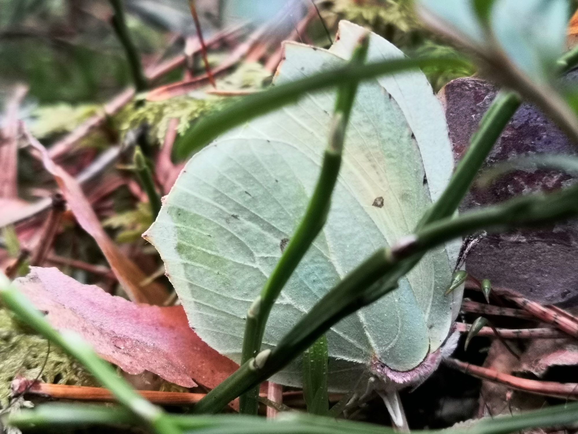 Valokuvaaja: Mari Ahtola