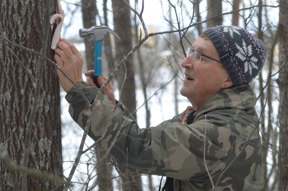 Valokuvaaja: Elisabet Varonen