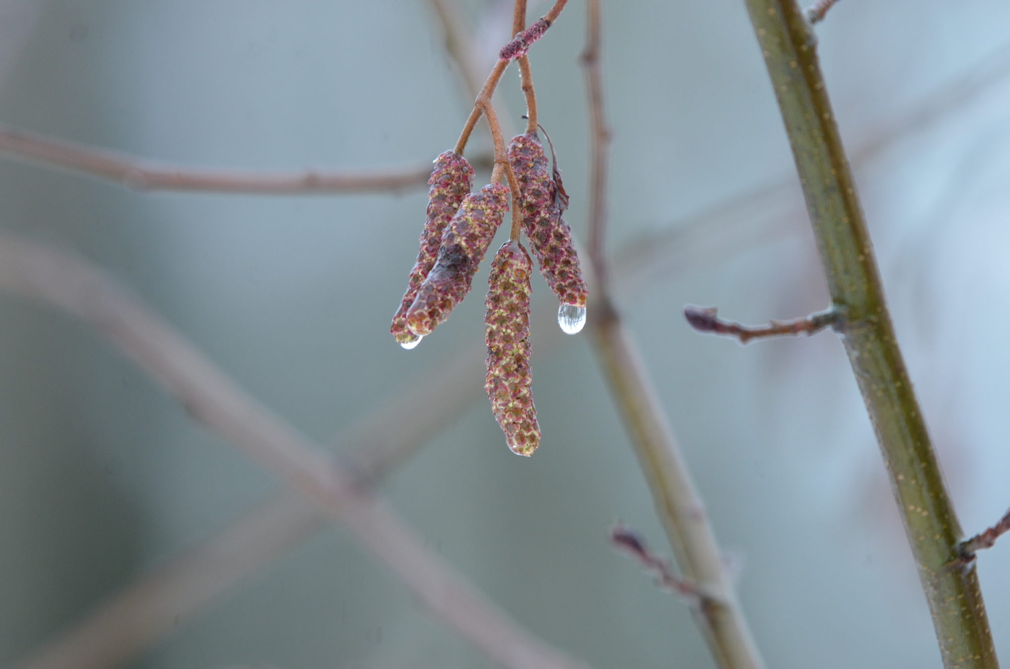 Valokuvaaja: Jouko Varonen