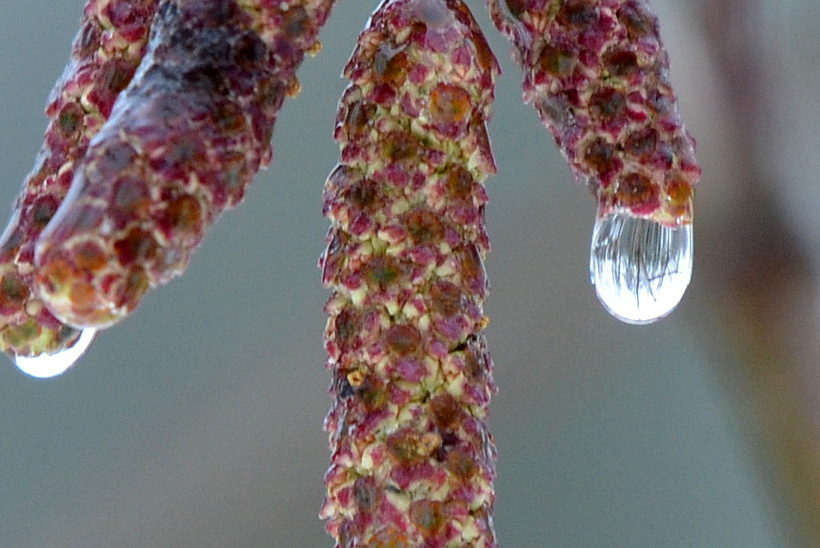 Valokuvaaja: Jouko Varonen