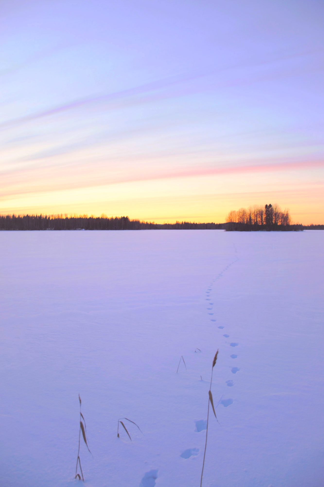 Valokuvaaja: Leena Rissanen
