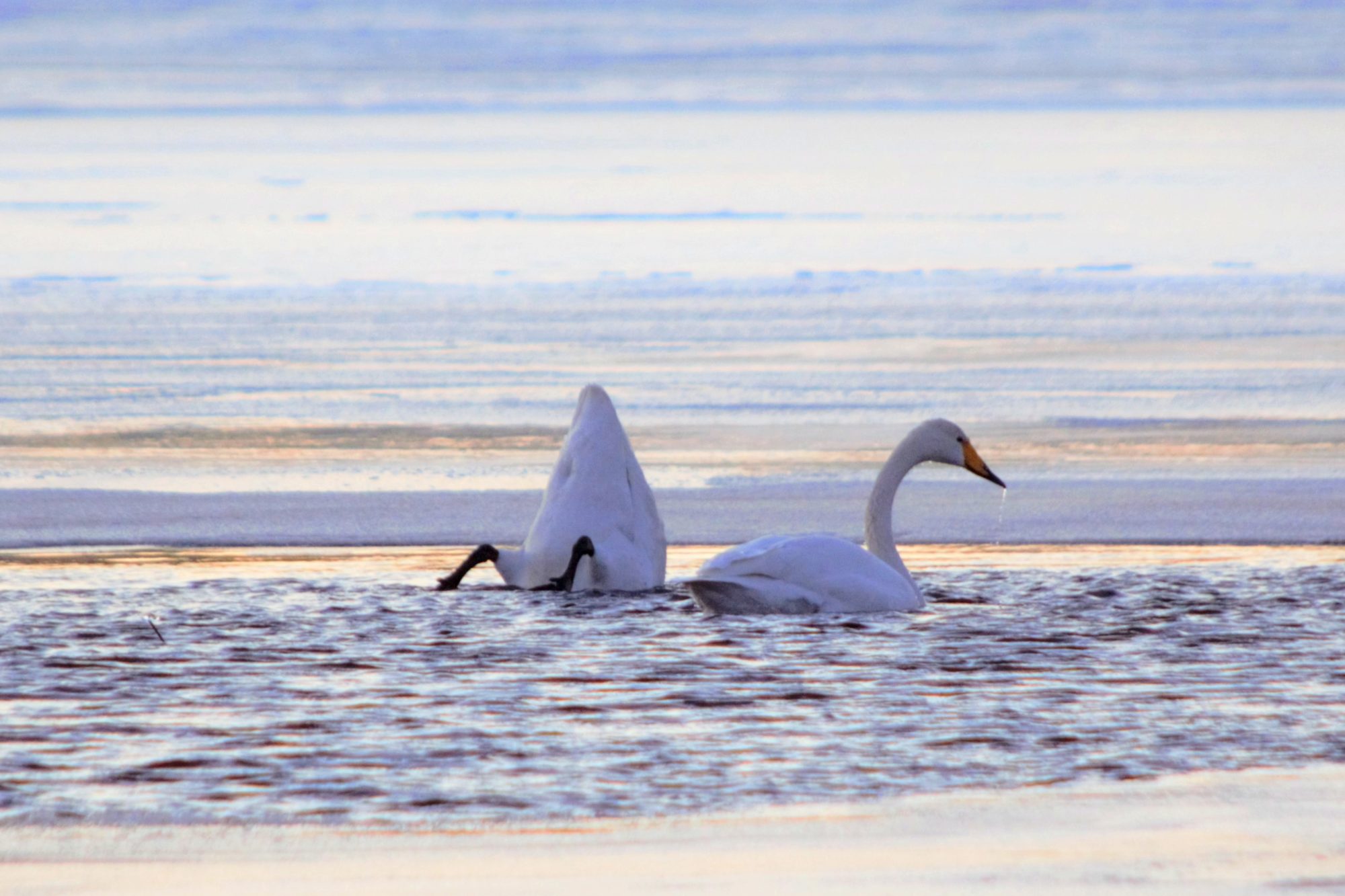 Valokuvaaja: Leena Rissanen
