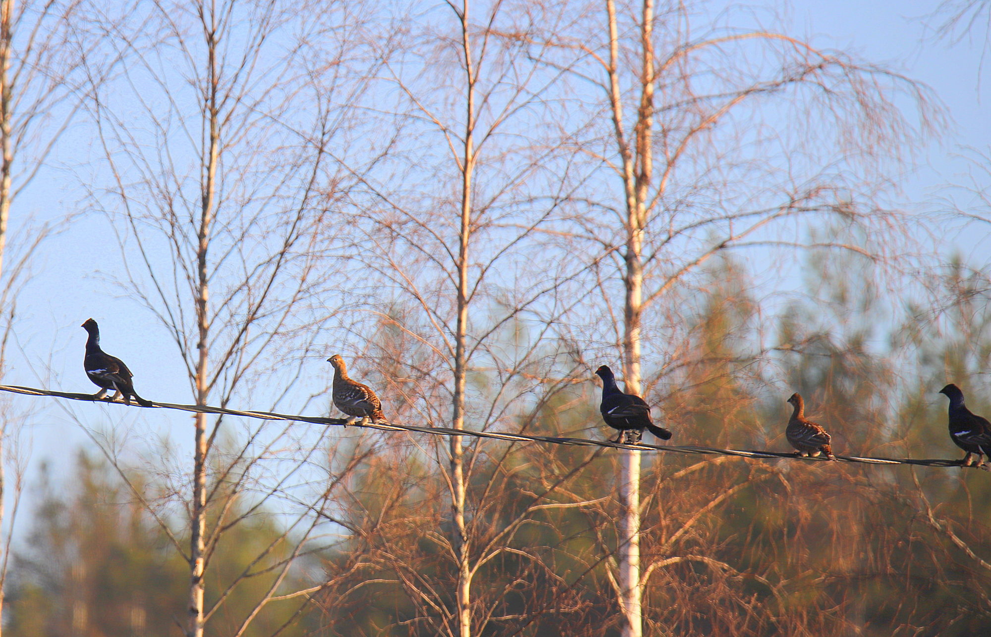 Valokuvaaja: sirpa jyske