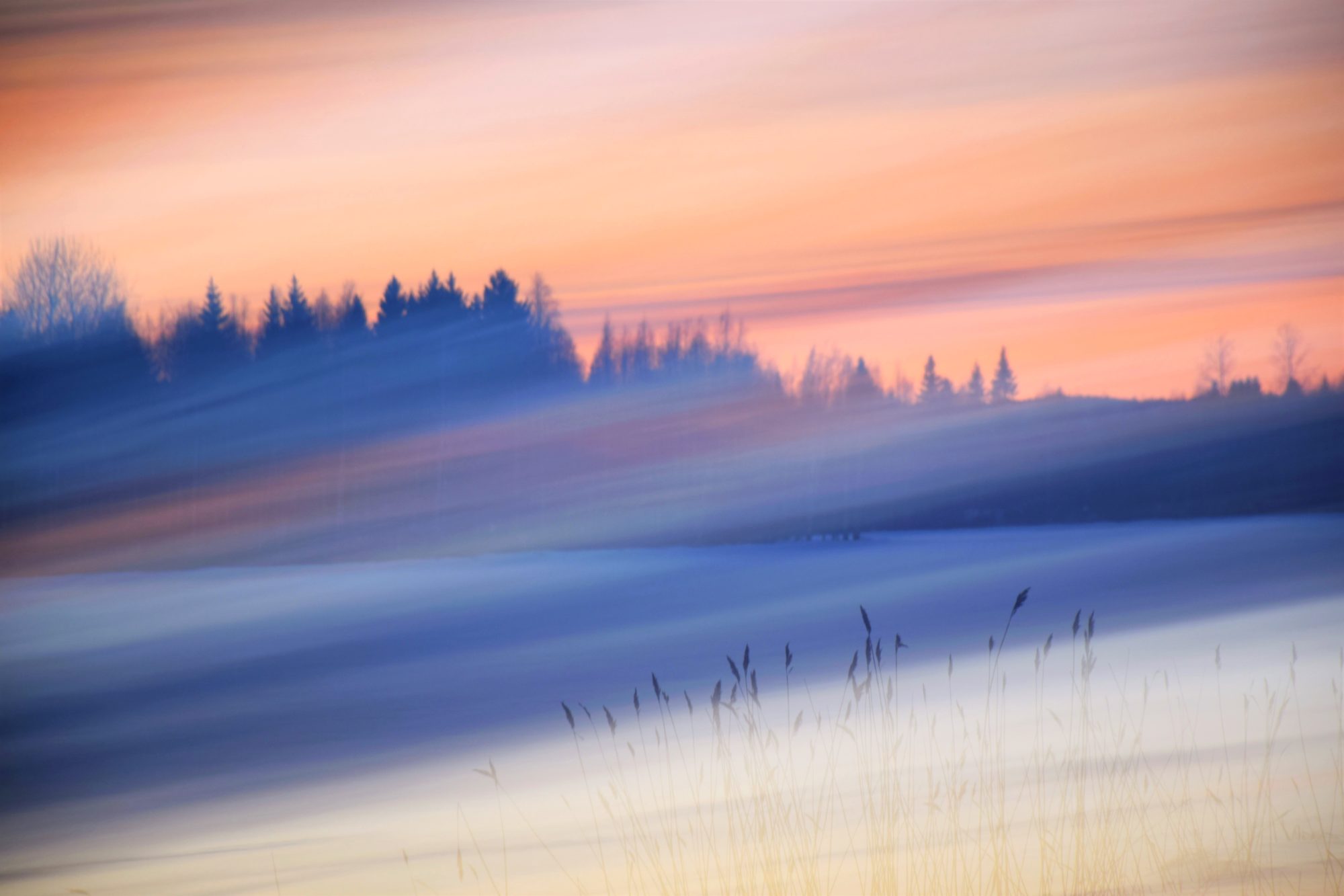 Valokuvaaja: Leena Rissanen