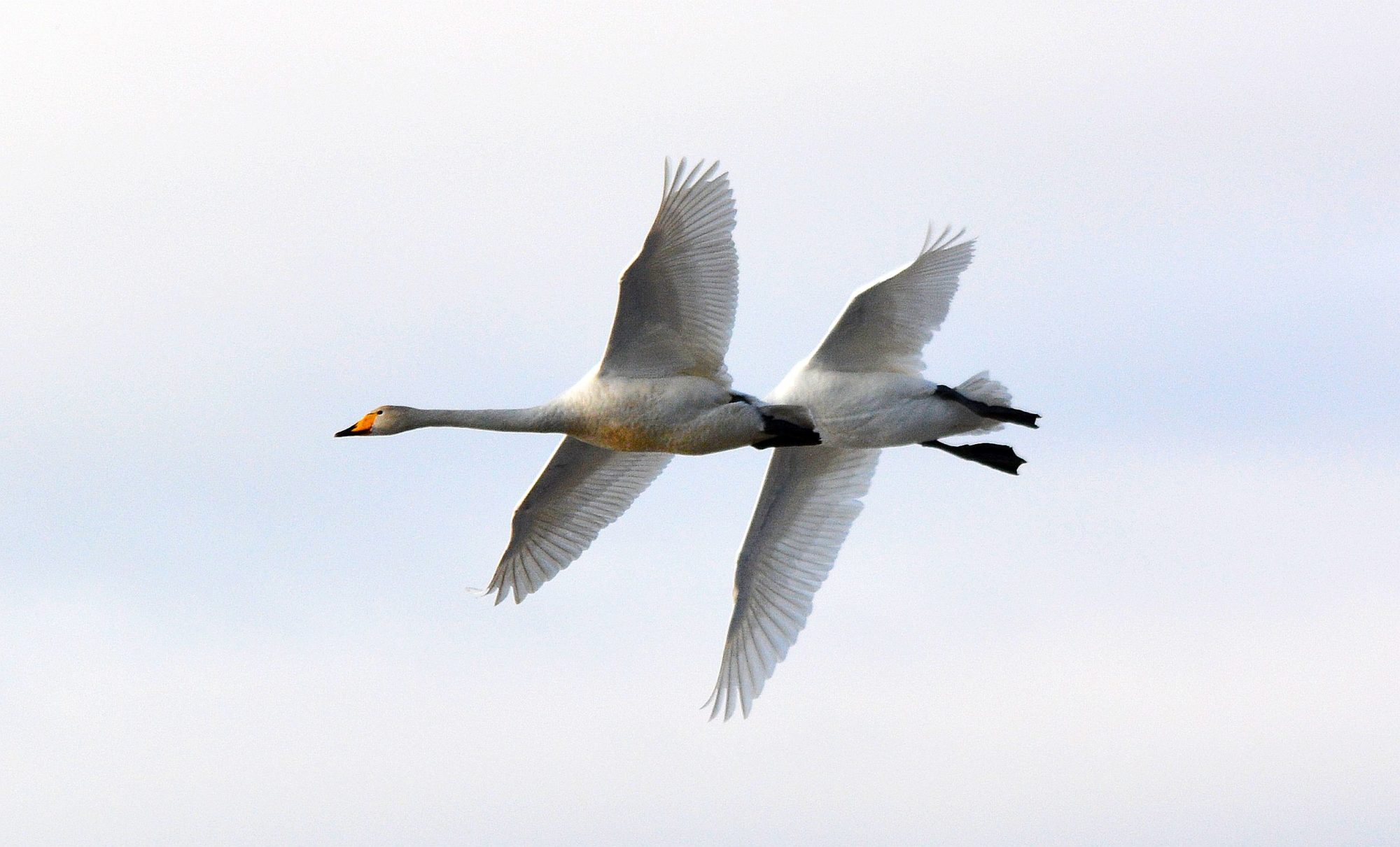 Valokuvaaja: Heli Korhonen
