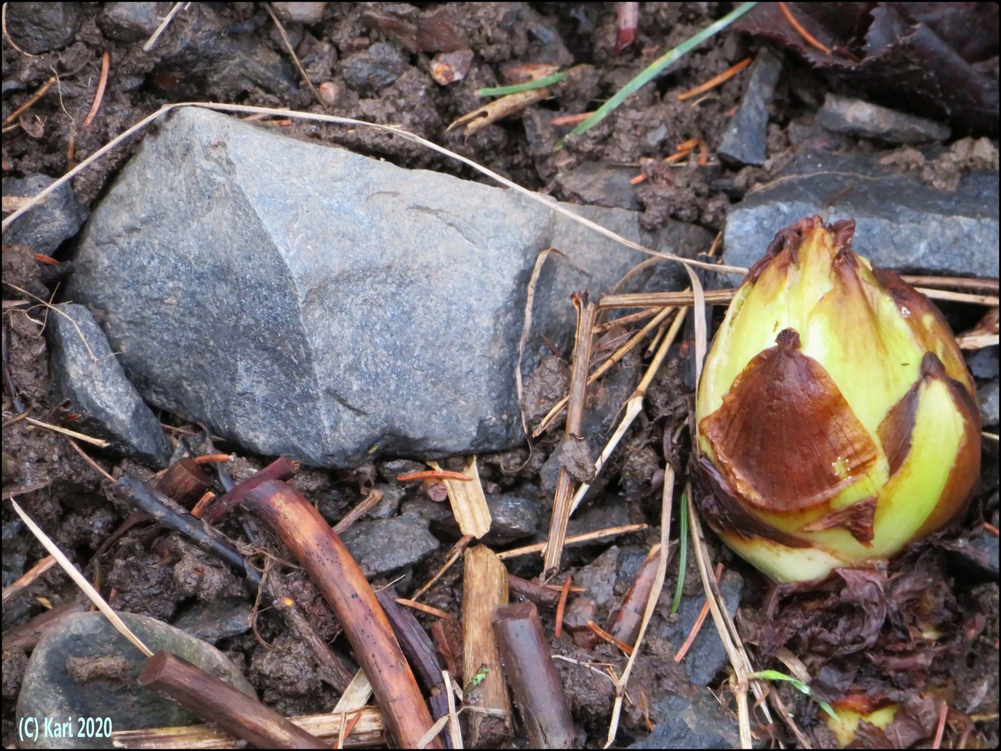 Valokuvaaja: Kari Saarinen