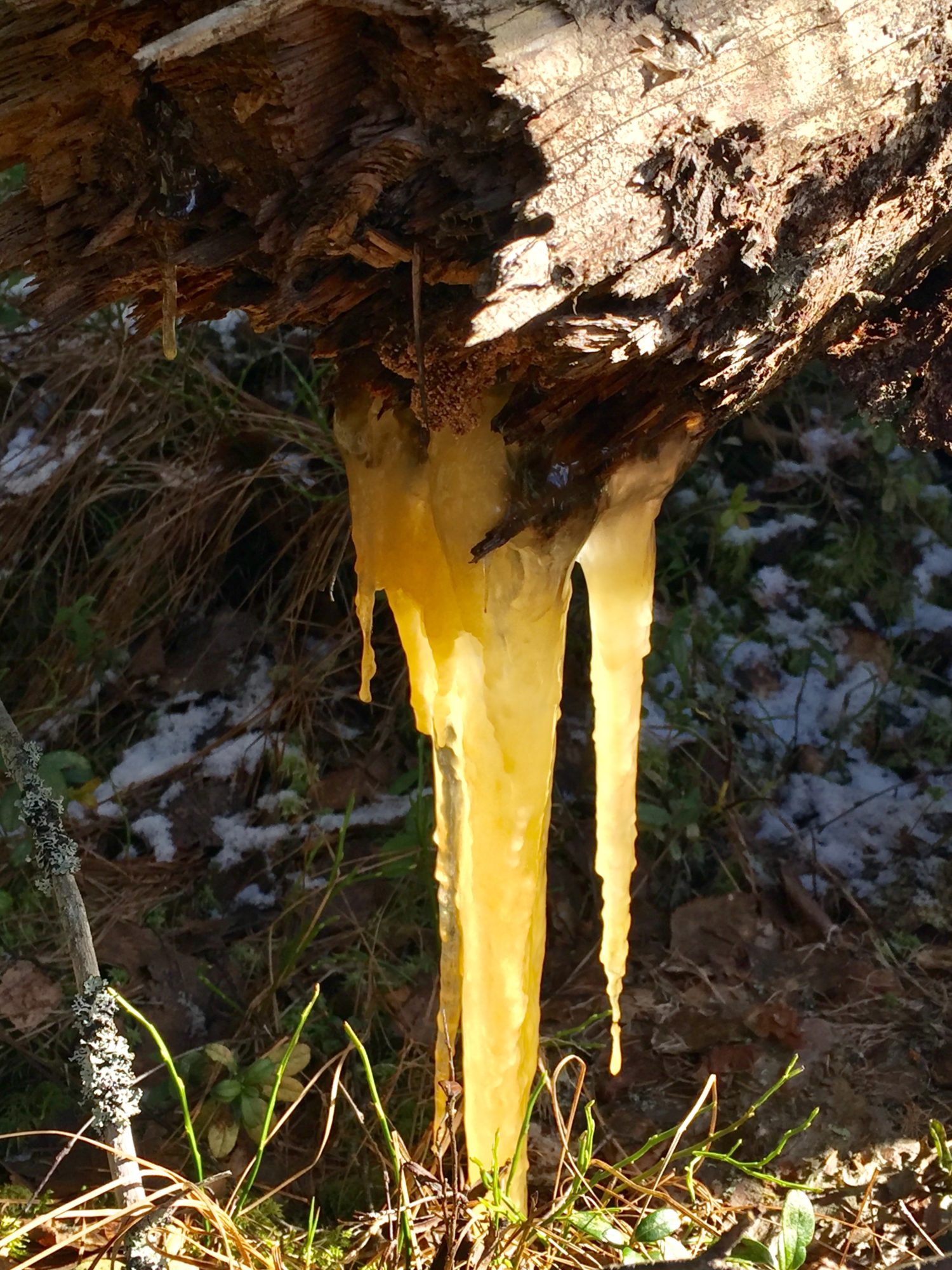 Valokuvaaja: Markku Ranta-Eilola