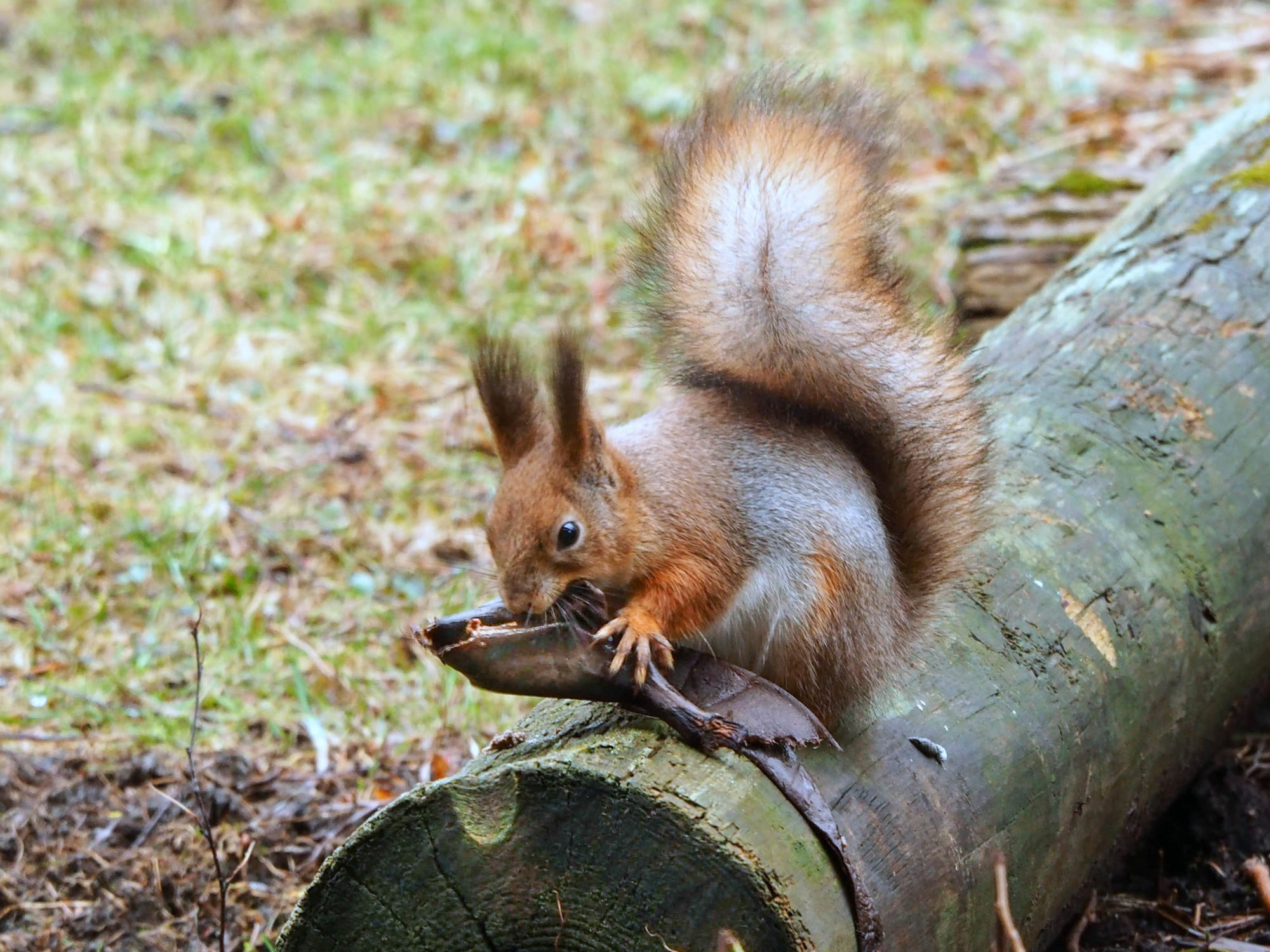 Valokuvaaja: Aki Jalava