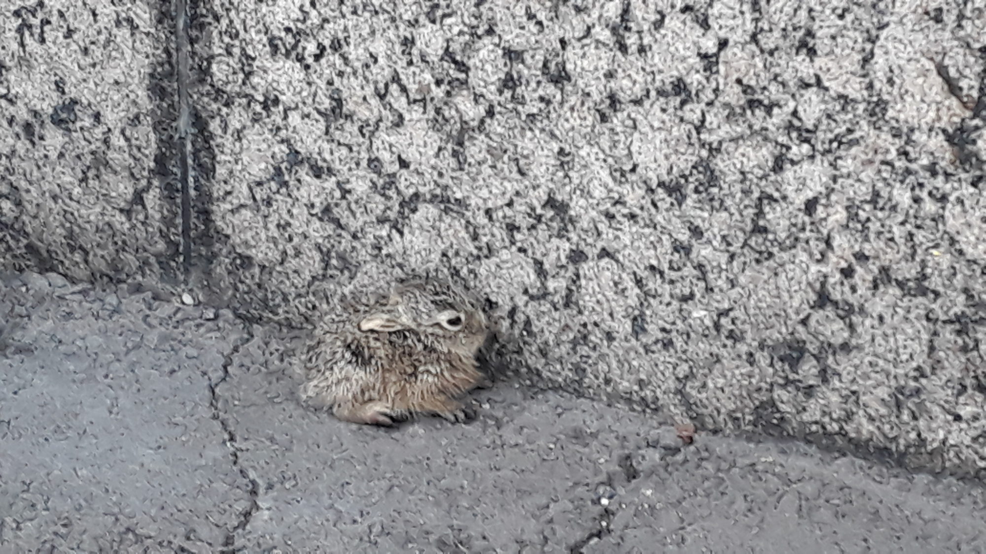 Valokuvaaja: Tiina Heinonen