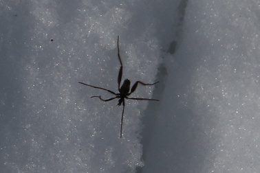 Valokuvaaja: Jyrki Kaila