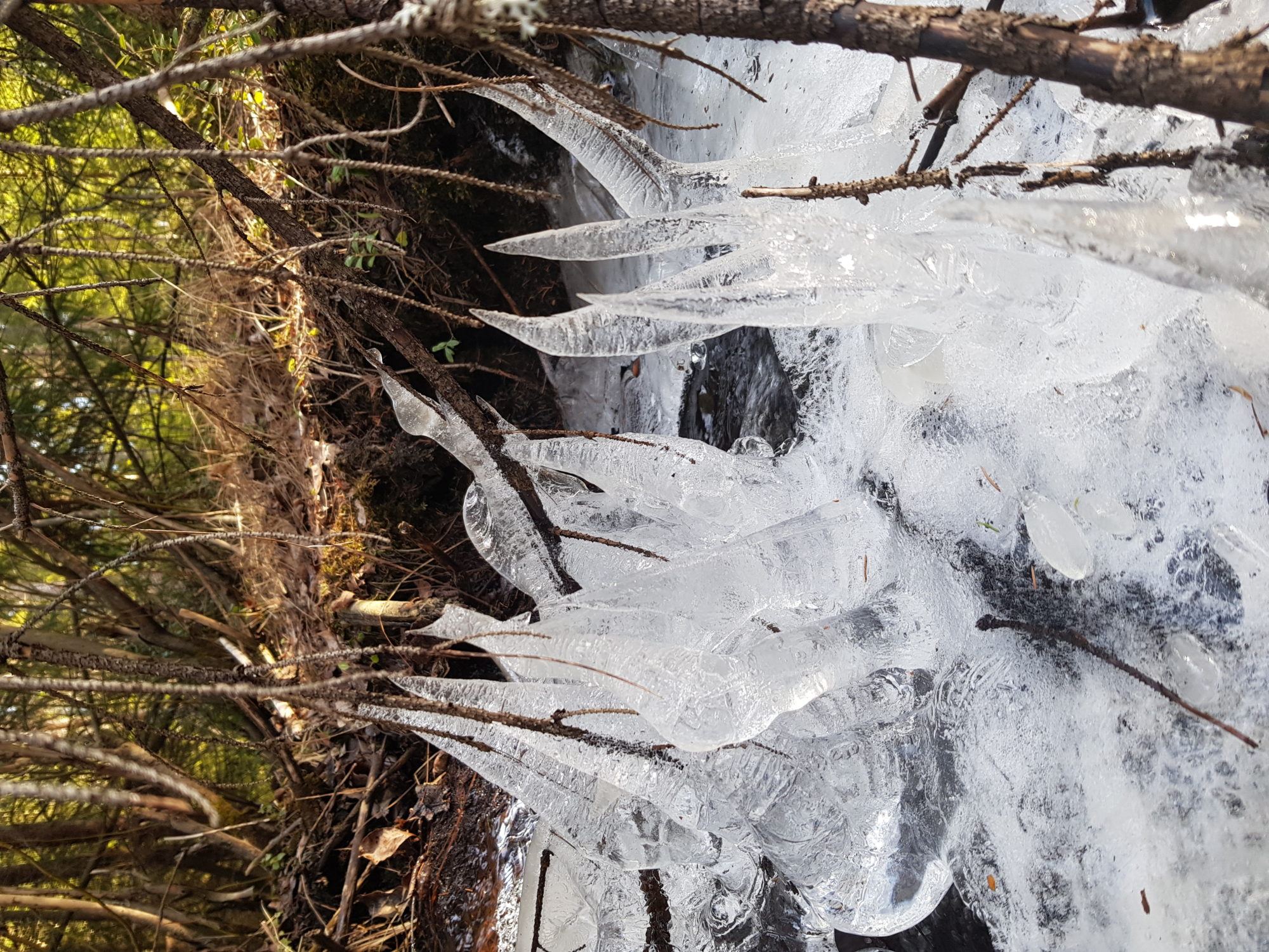 Valokuvaaja: Taija Hyvönen