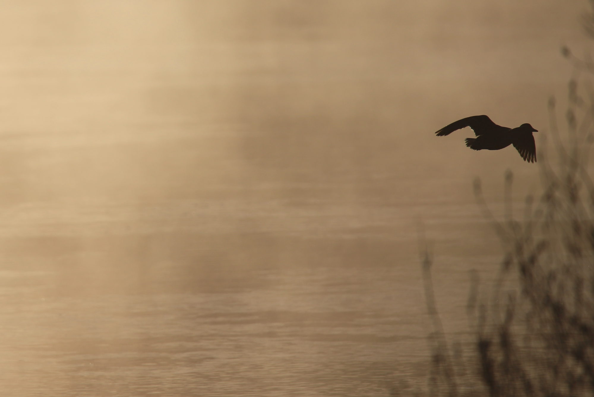 Valokuvaaja: sirpa jyske