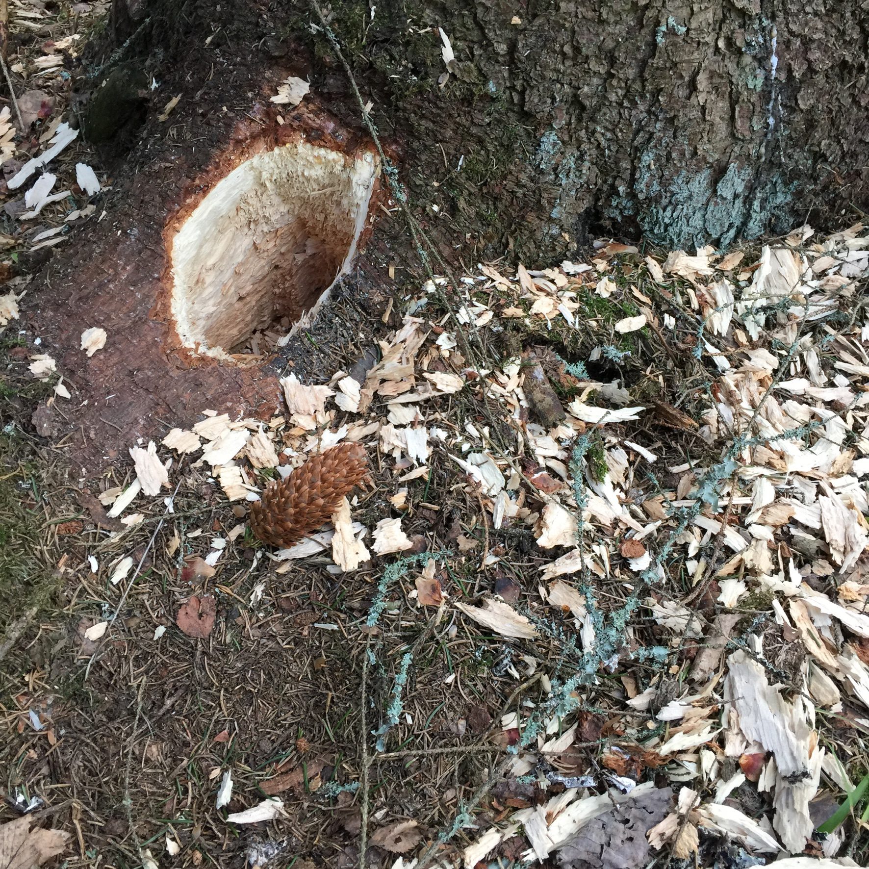 Valokuvaaja: Markku Ranta-Eilola