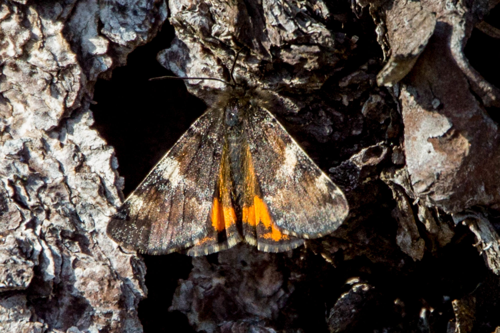 Valokuvaaja: Markku Salonen