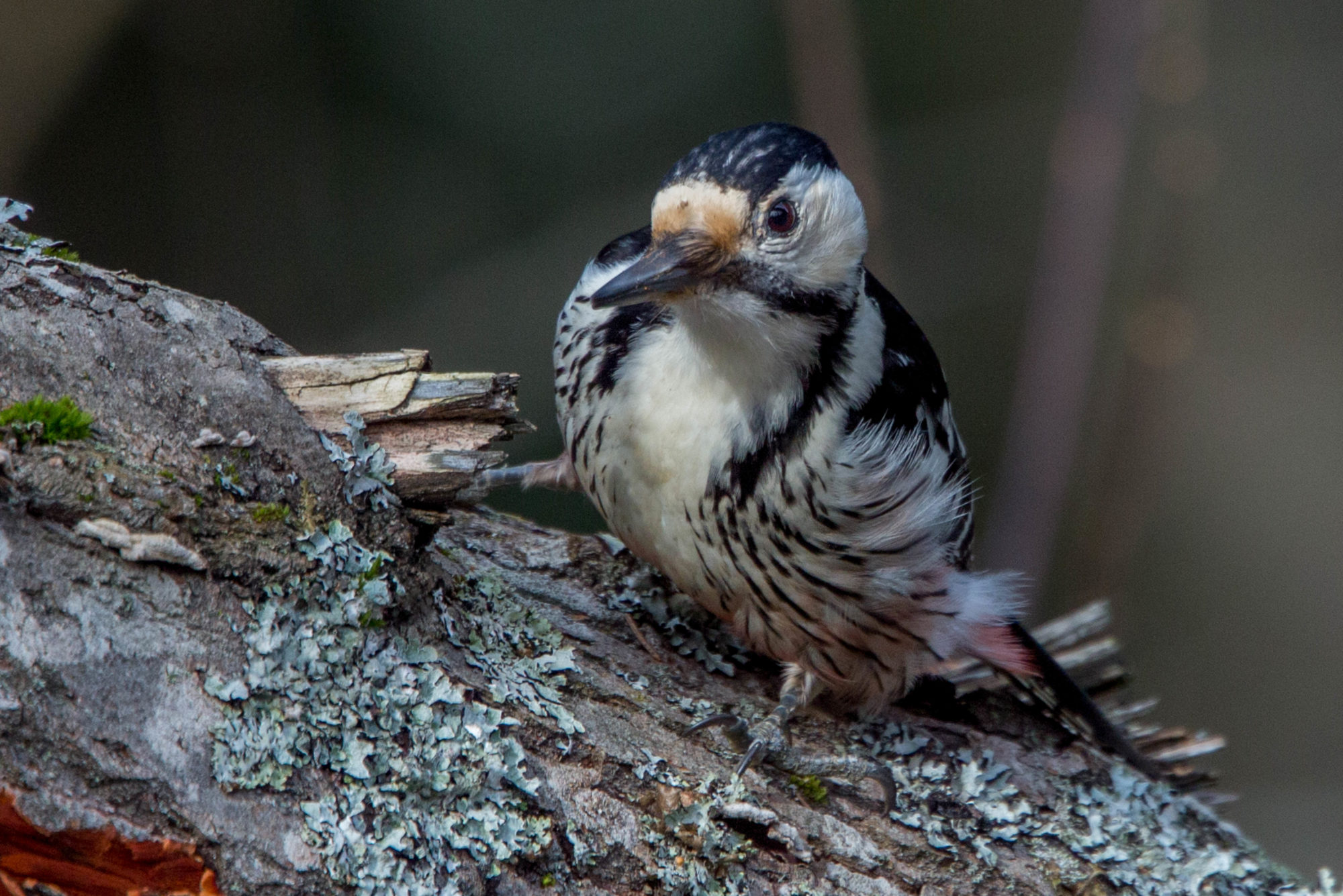 Valokuvaaja: Markku Salonen
