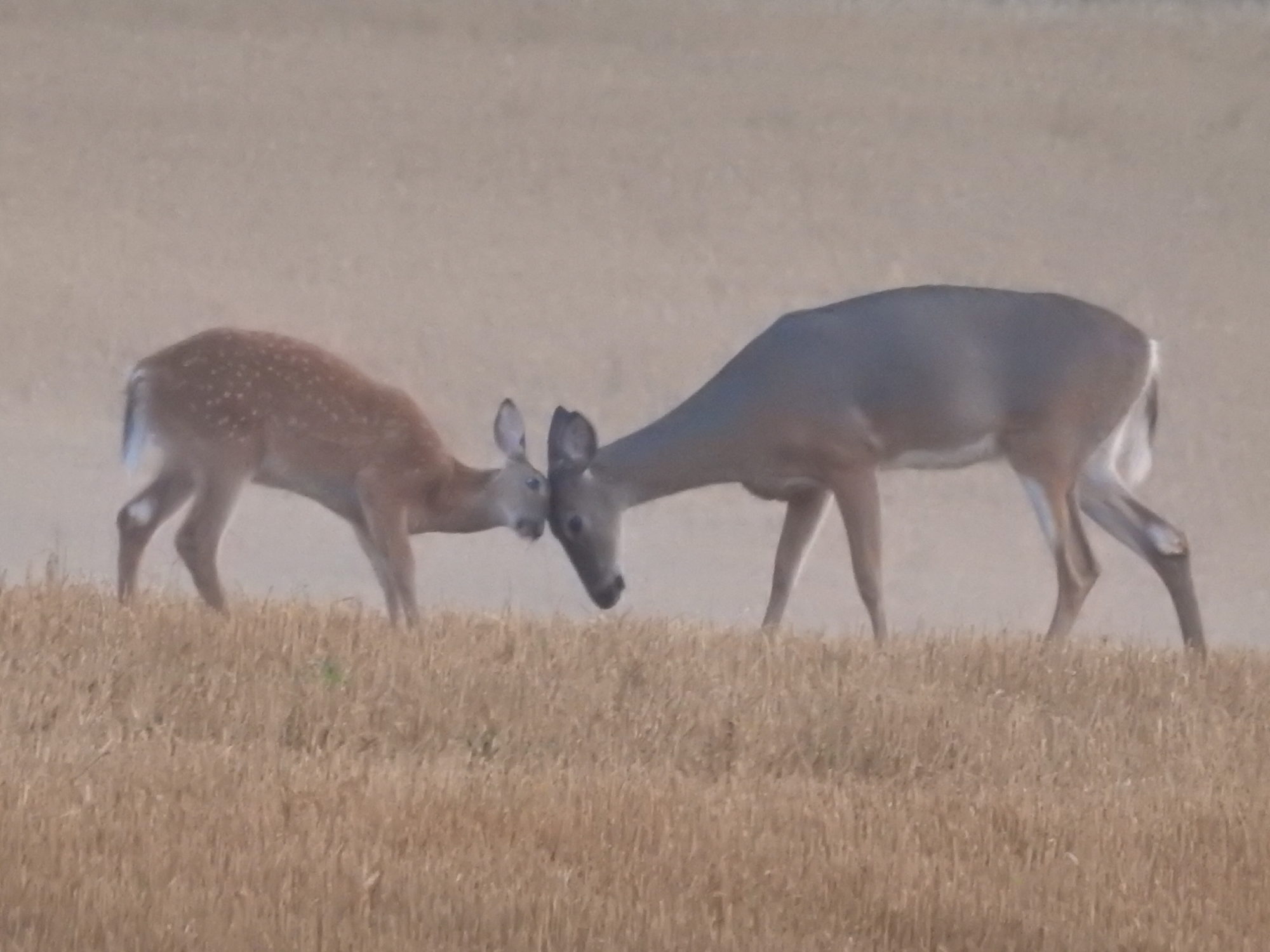 Valokuvaaja: Päivi Heikkilä