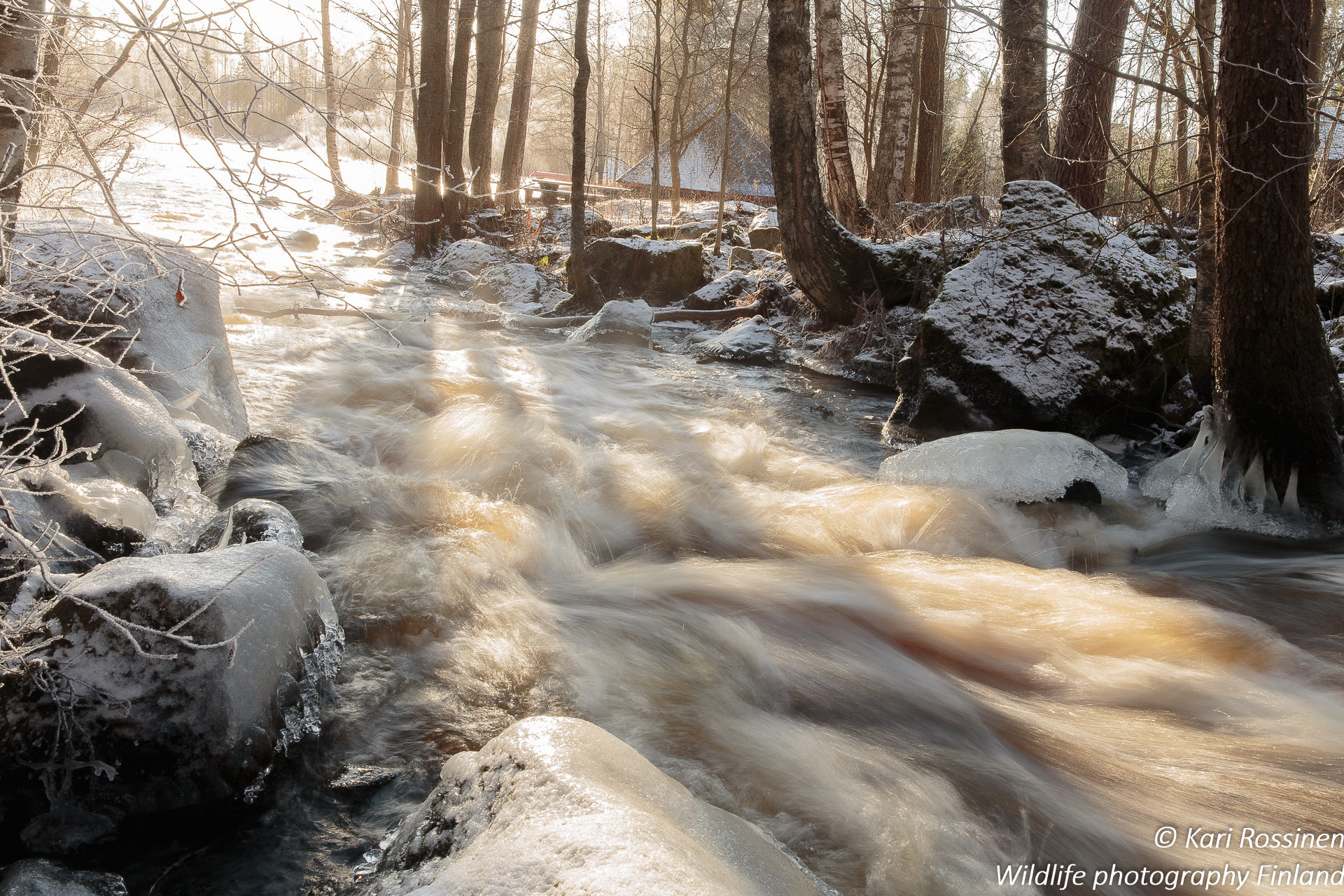 Valokuvaaja: Kari Rossinen