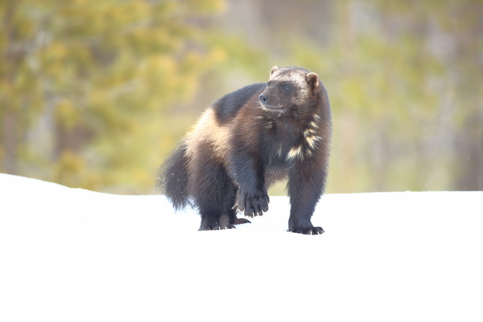 Valokuvaaja: Kari Rossinen