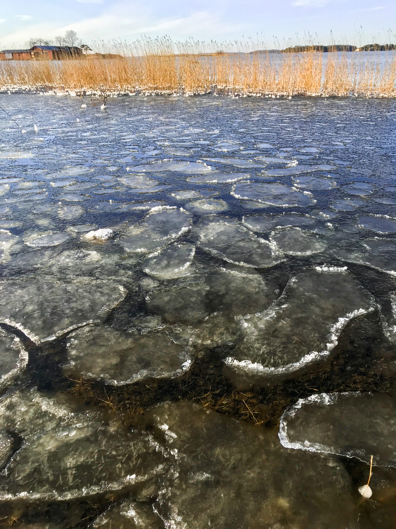 Valokuvaaja: Anne Patana