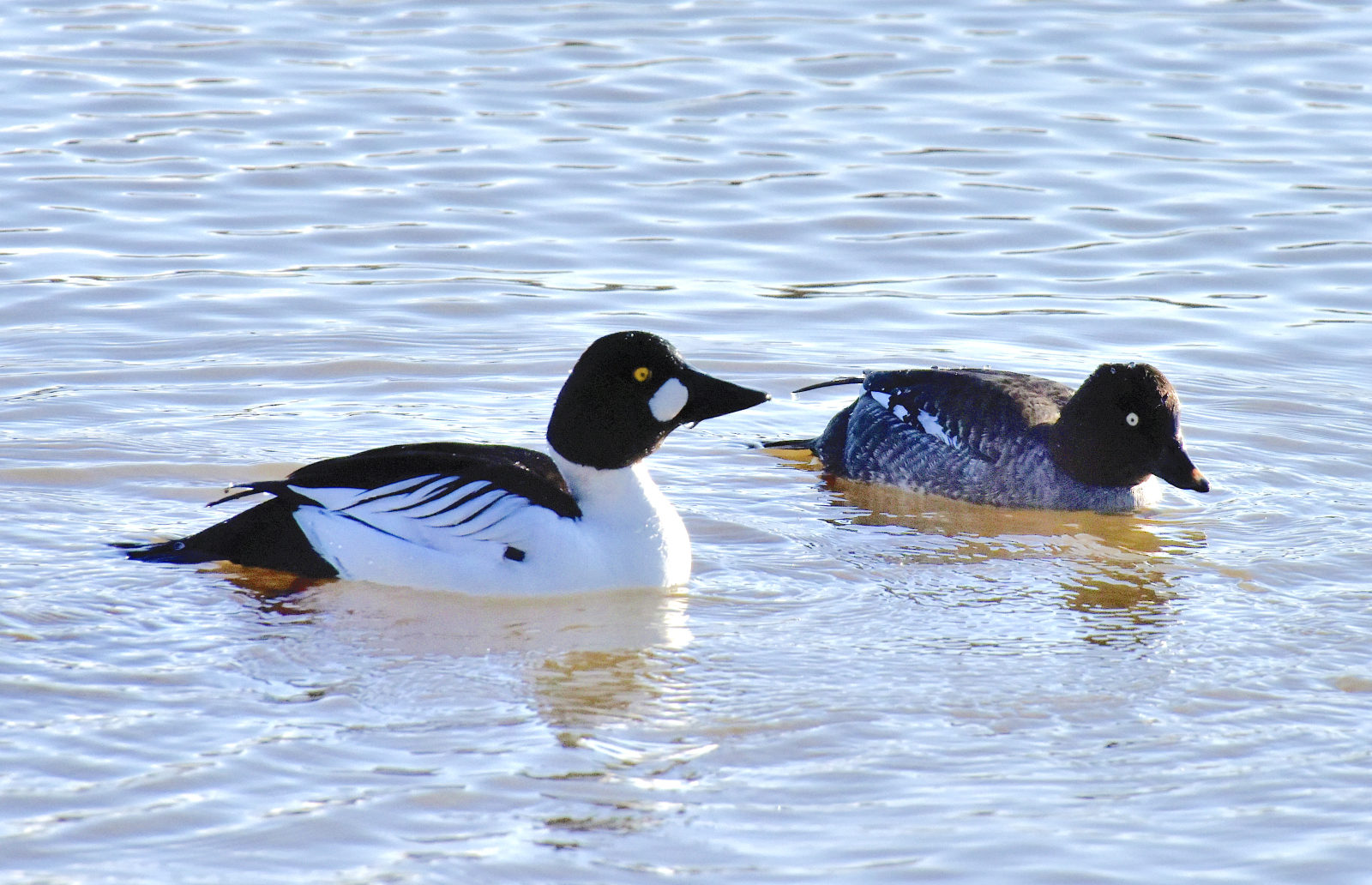 Valokuvaaja: Reijo Juurinen