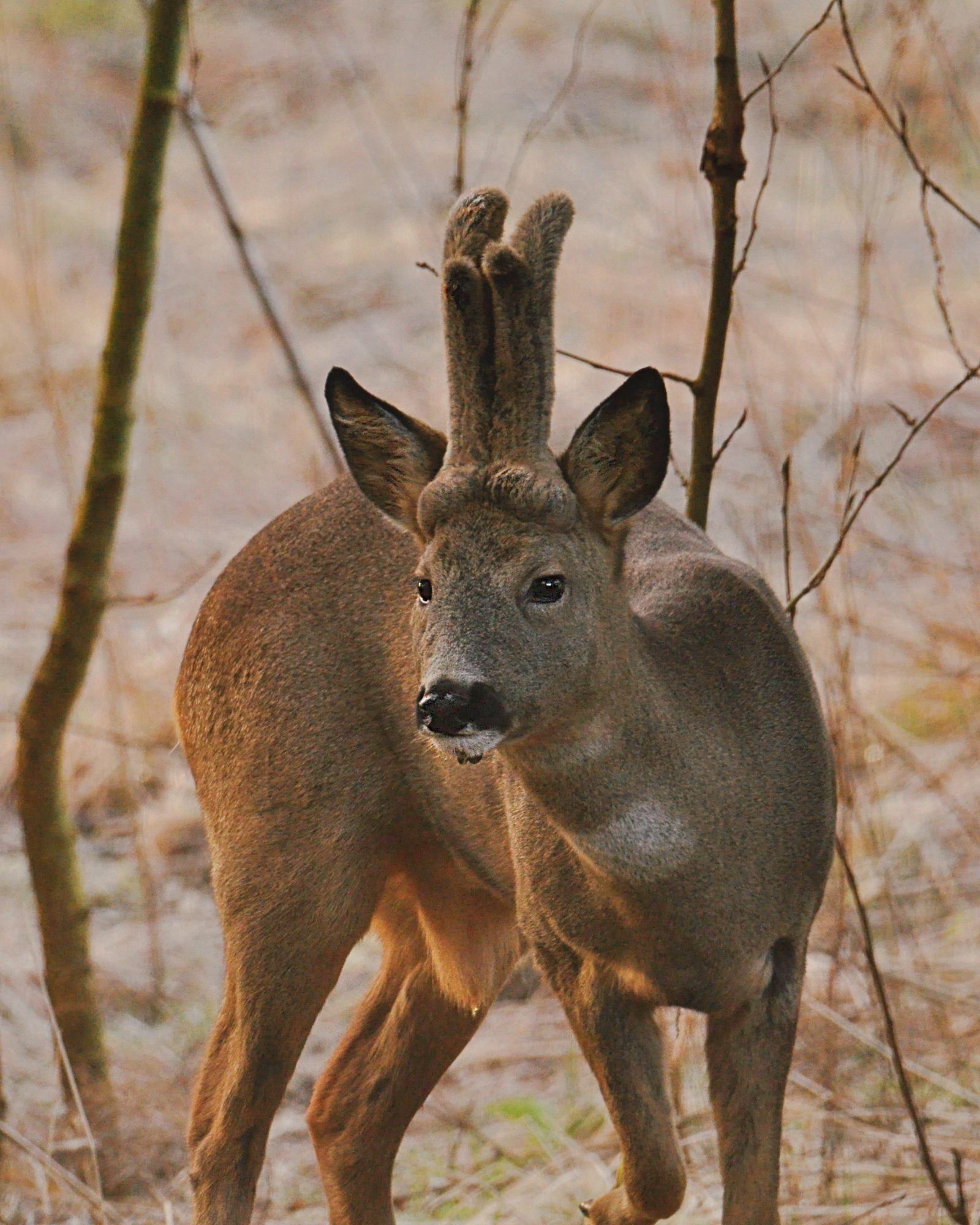 Valokuvaaja: Jenni Merilä