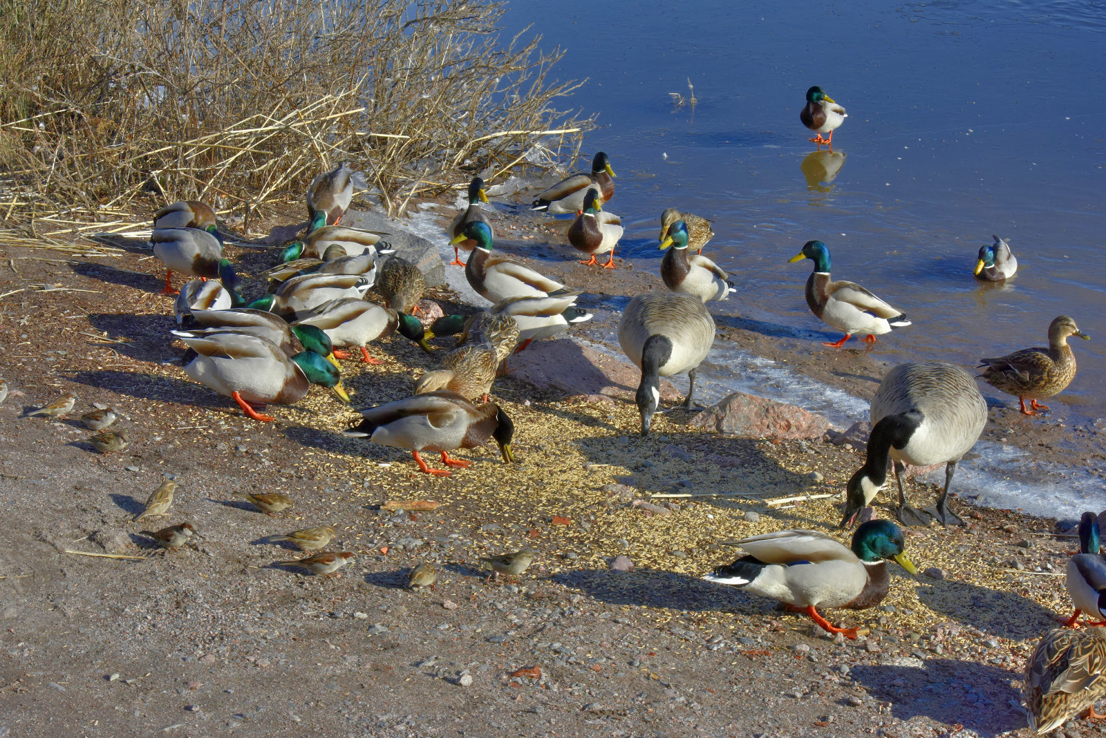 Valokuvaaja: Reijo Juurinen