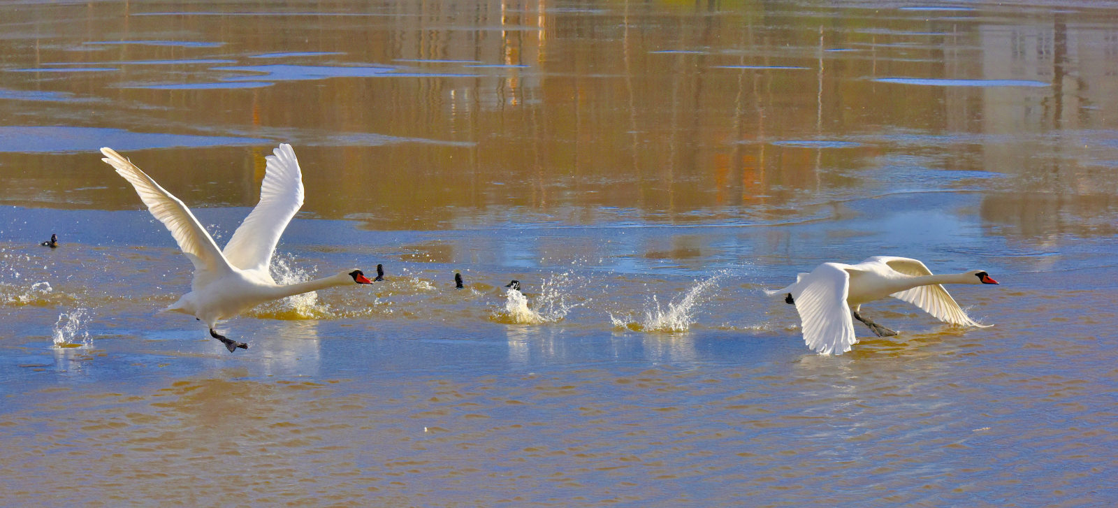 Valokuvaaja: Reijo Juurinen