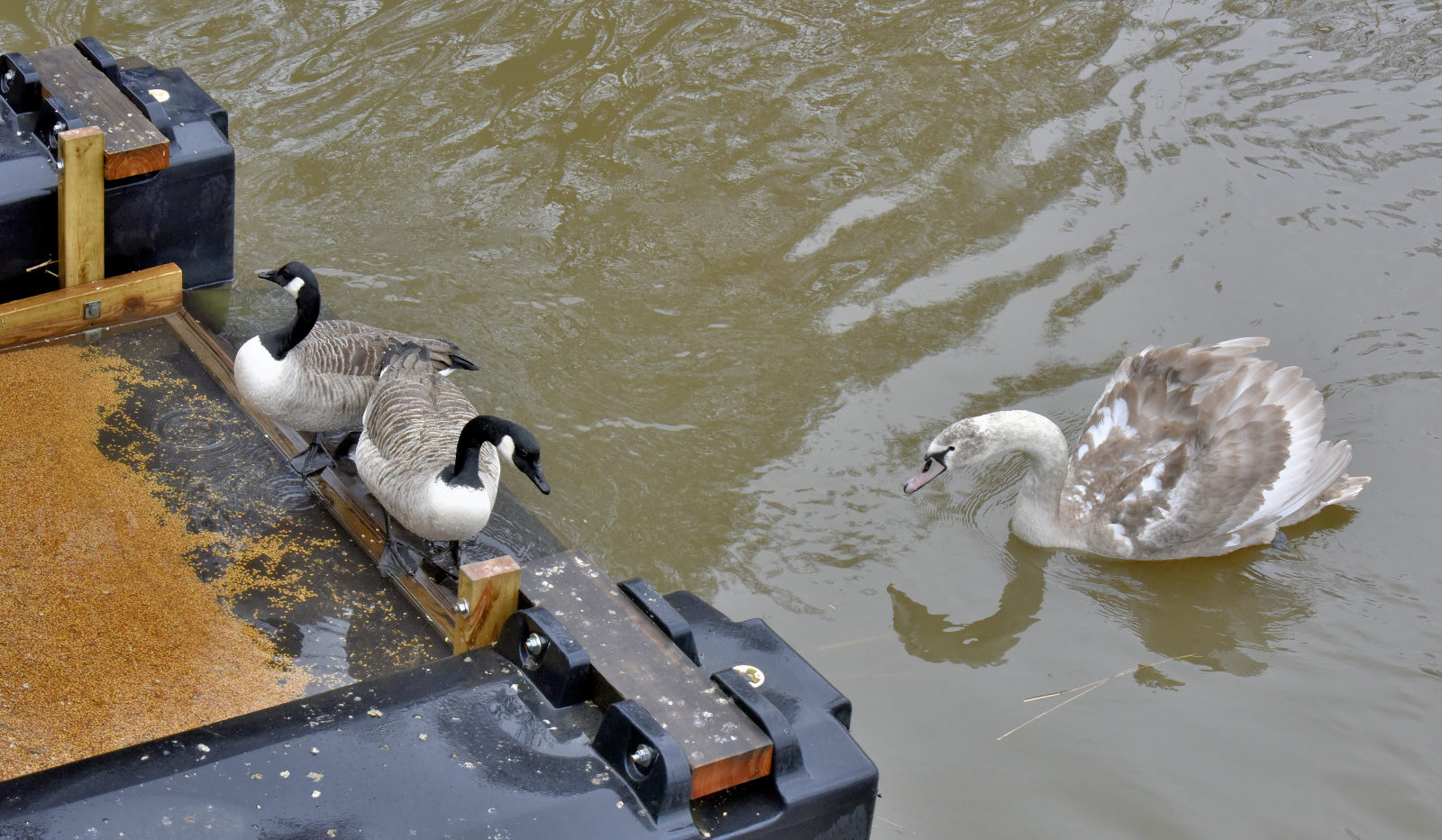 Valokuvaaja: Reijo Juurinen