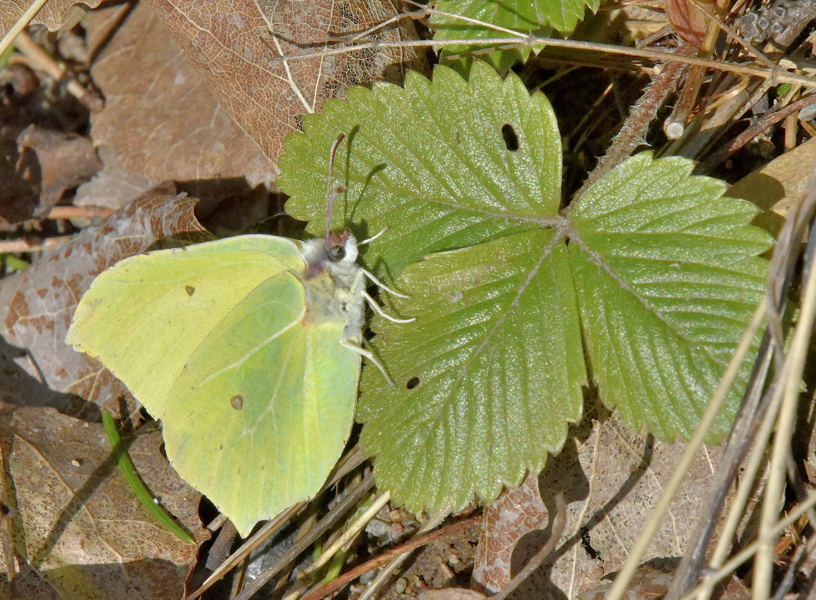 Valokuvaaja: Reijo Juurinen