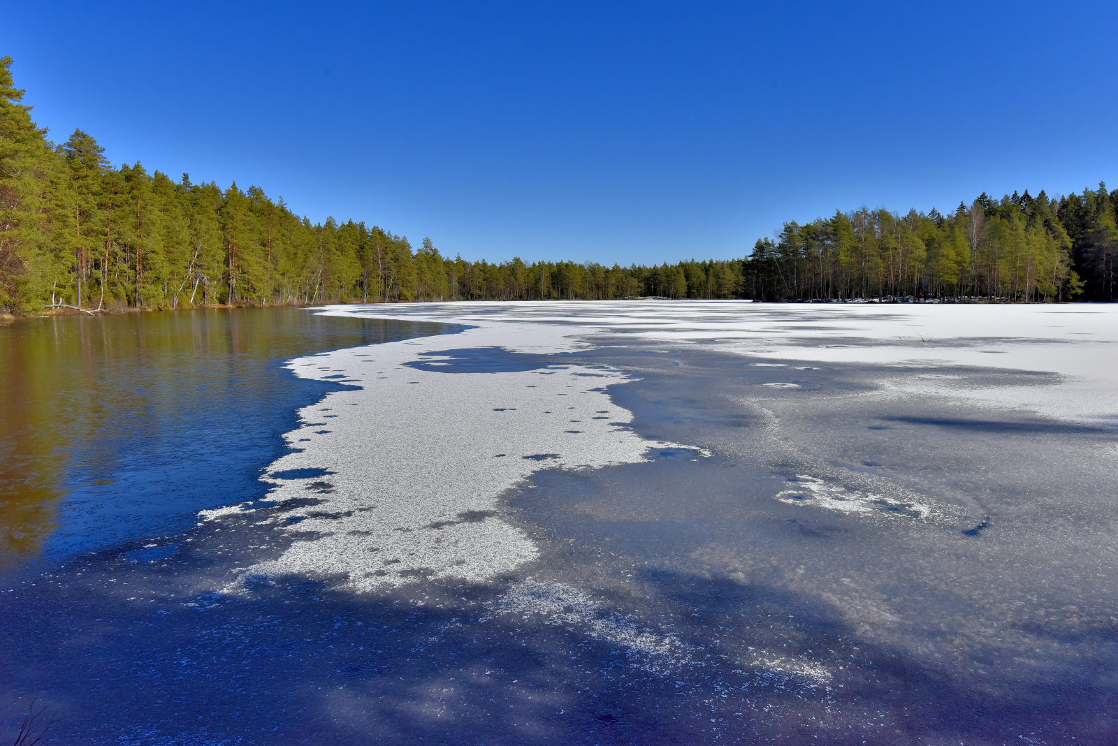 Valokuvaaja: Reijo Juurinen