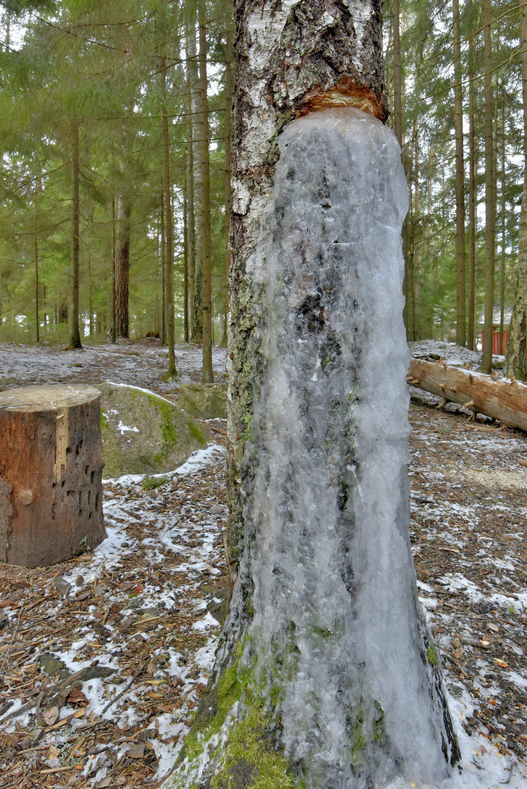 Valokuvaaja: Reijo Juurinen