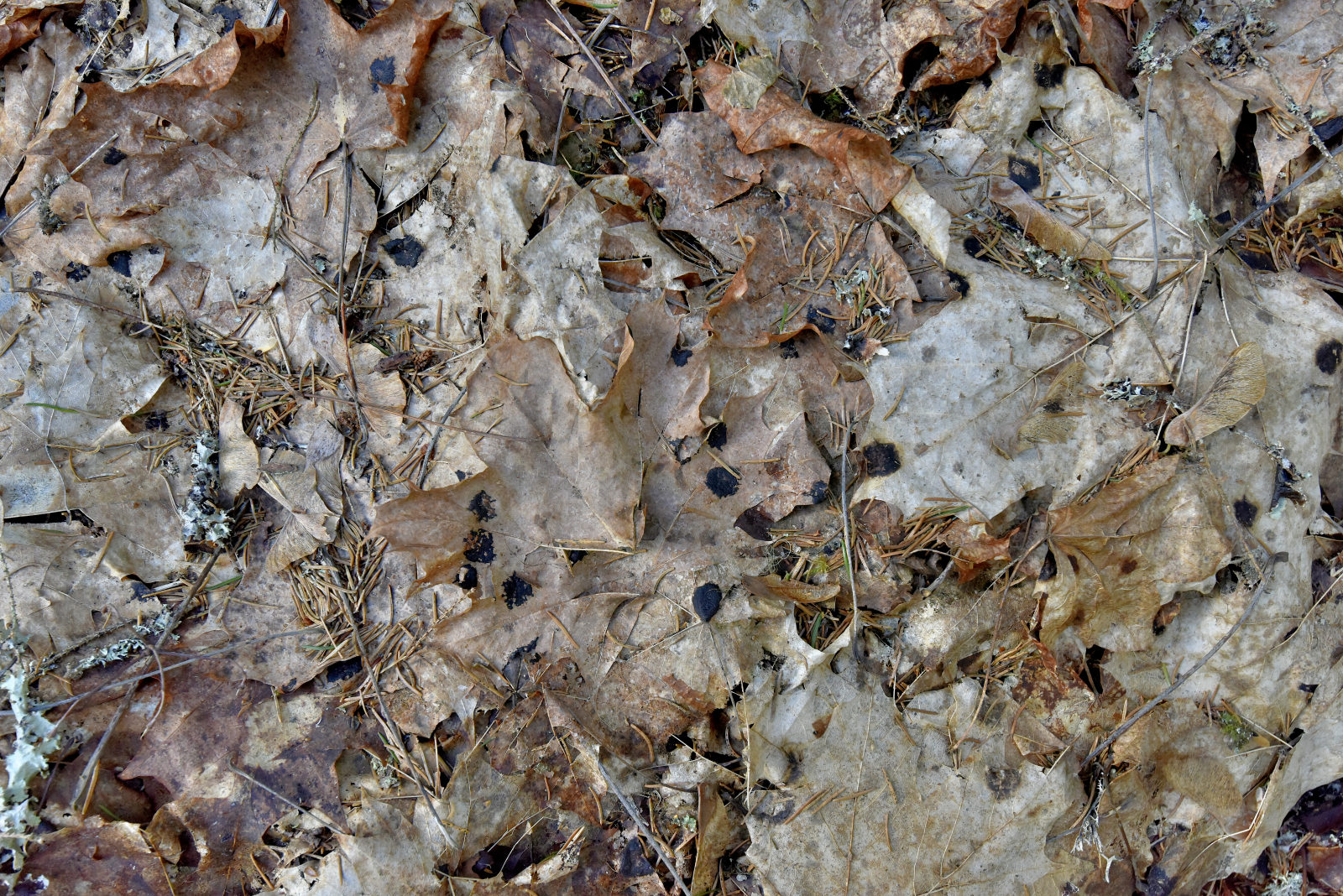 Valokuvaaja: Reijo Juurinen