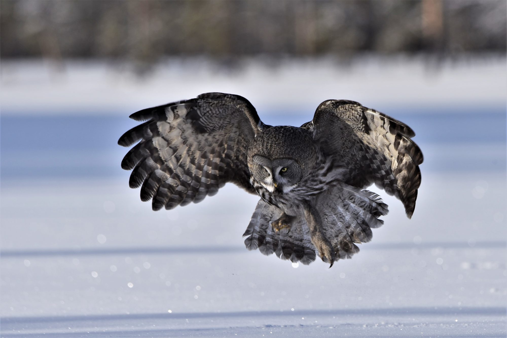 Valokuvaaja: Maarit Siitonen