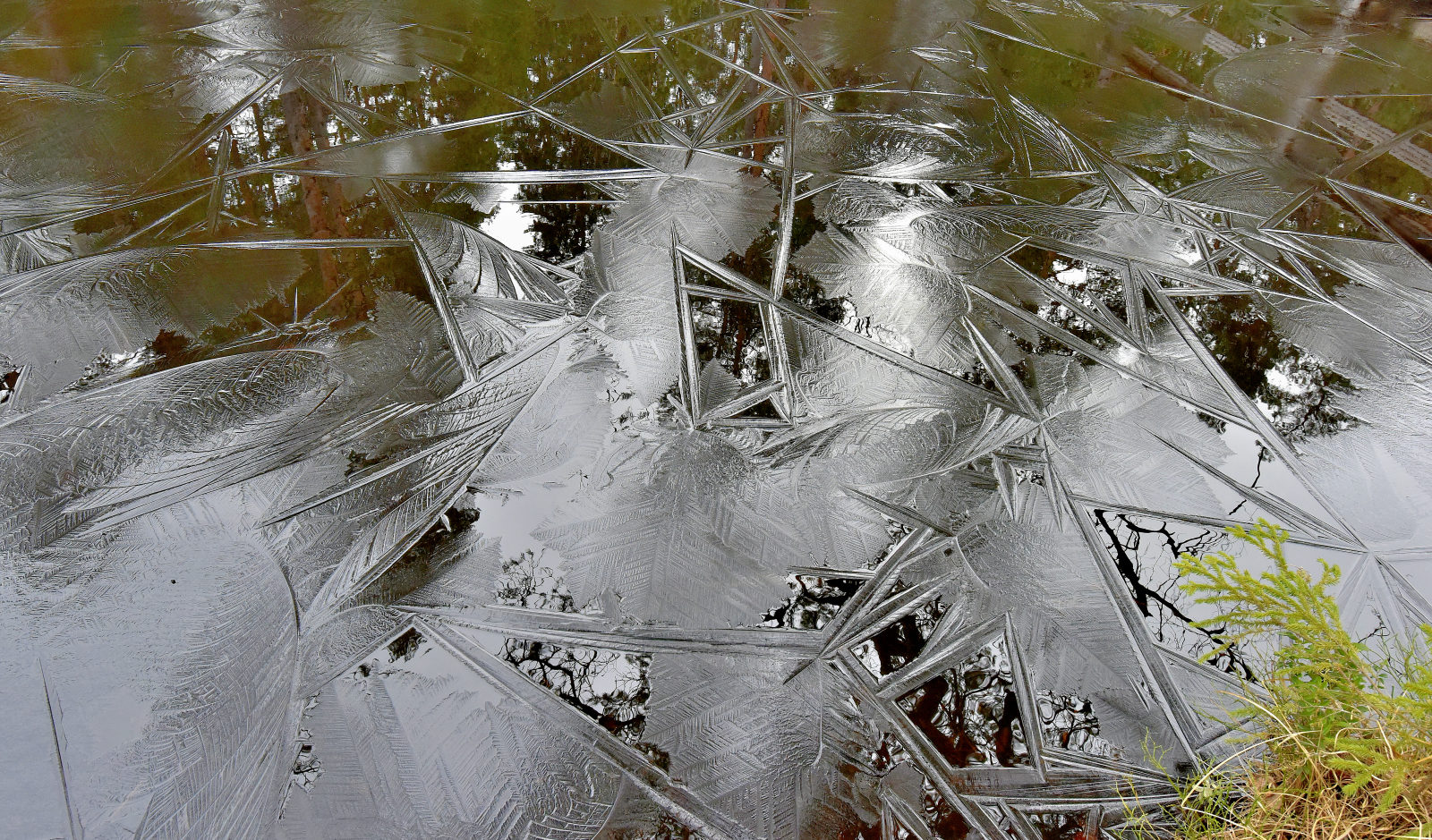 Valokuvaaja: Reijo Juurinen