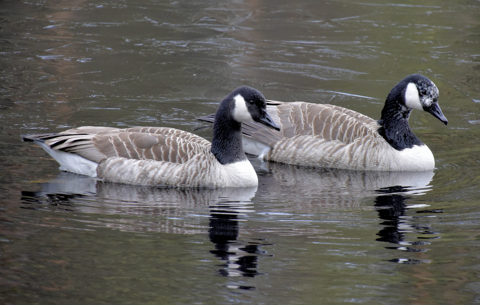 Valokuvaaja: Reijo Juurinen