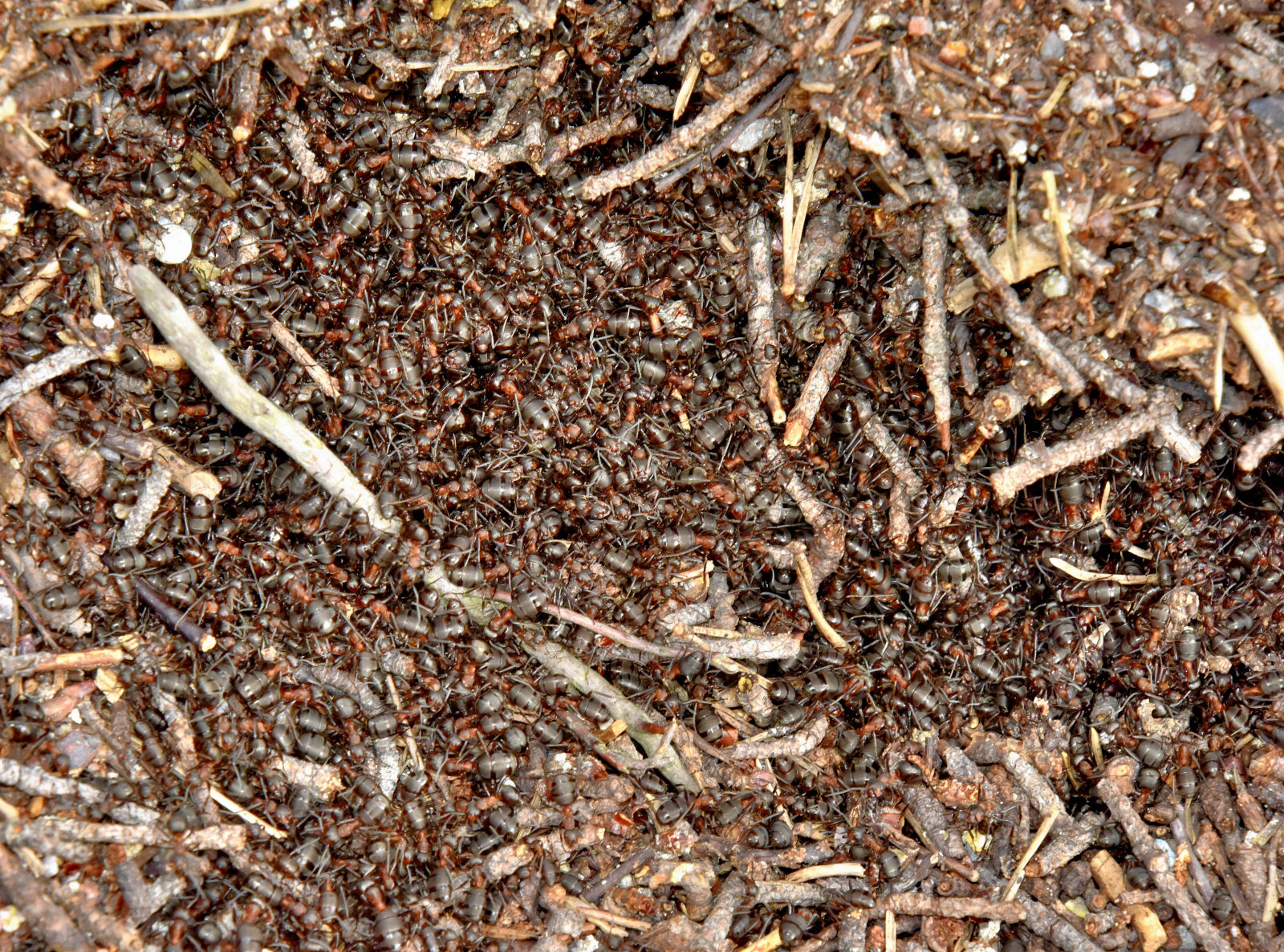 Valokuvaaja: Reijo Juurinen