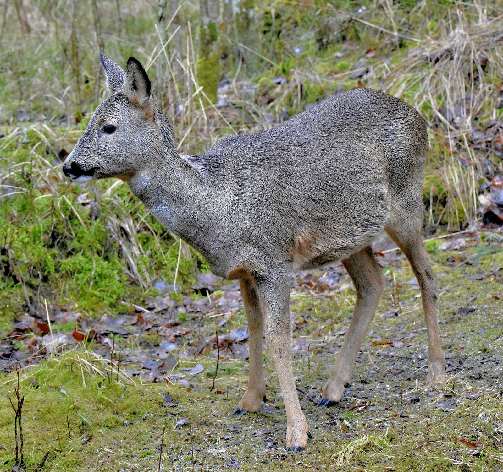 Valokuvaaja: Reijo Juurinen