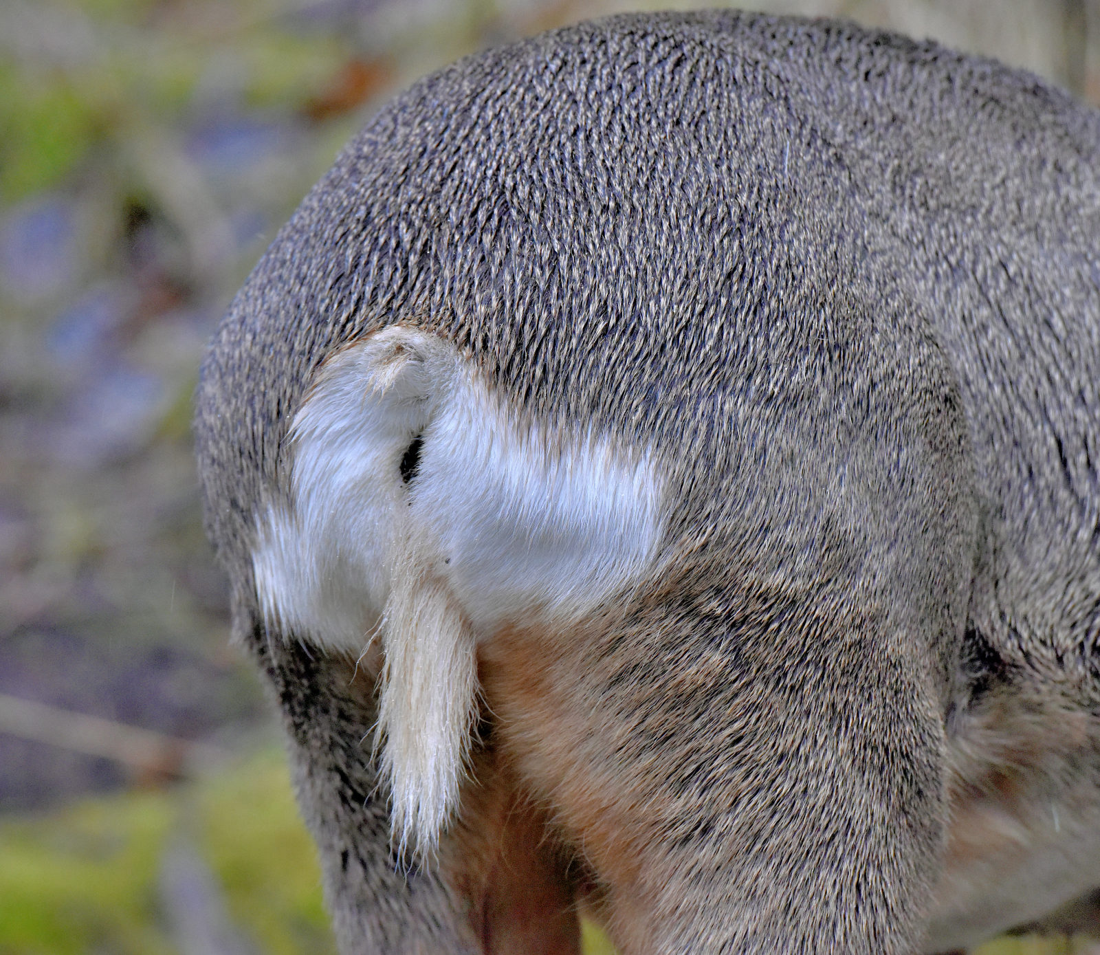 Valokuvaaja: Reijo Juurinen