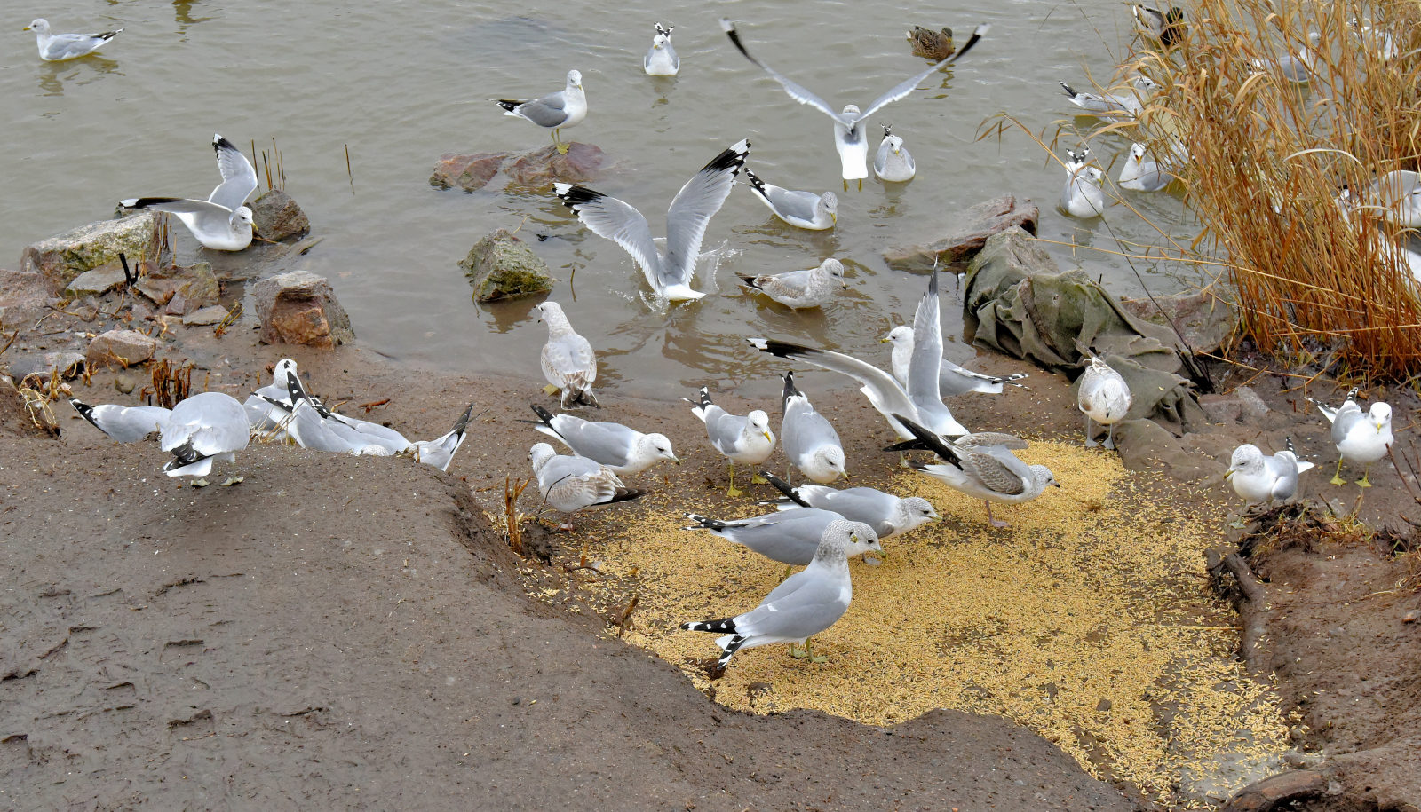 Valokuvaaja: Reijo Juurinen