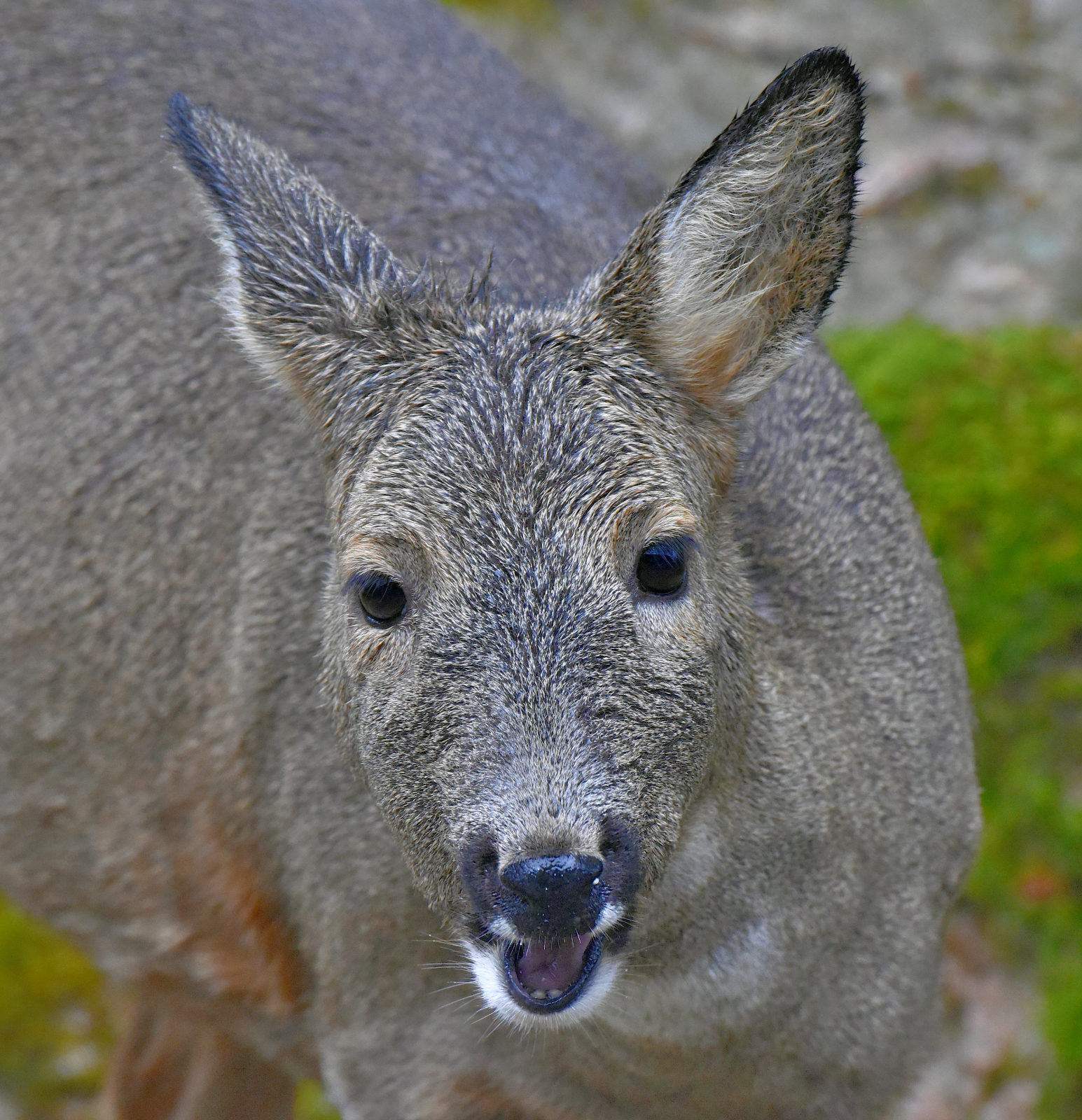 Valokuvaaja: Reijo Juurinen