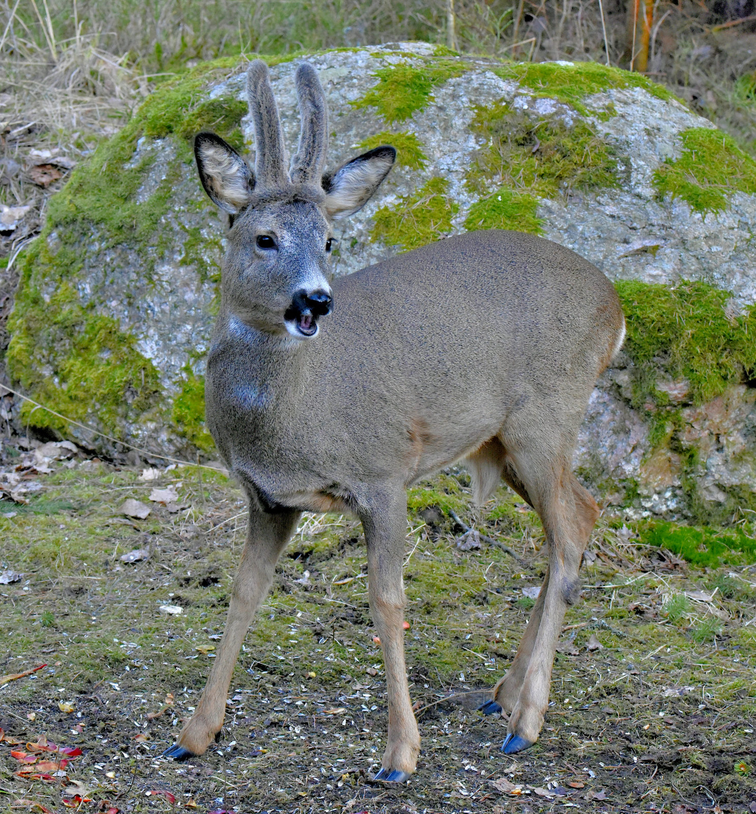 Valokuvaaja: Reijo Juurinen Valokuvaaja: Reijo Juurinen