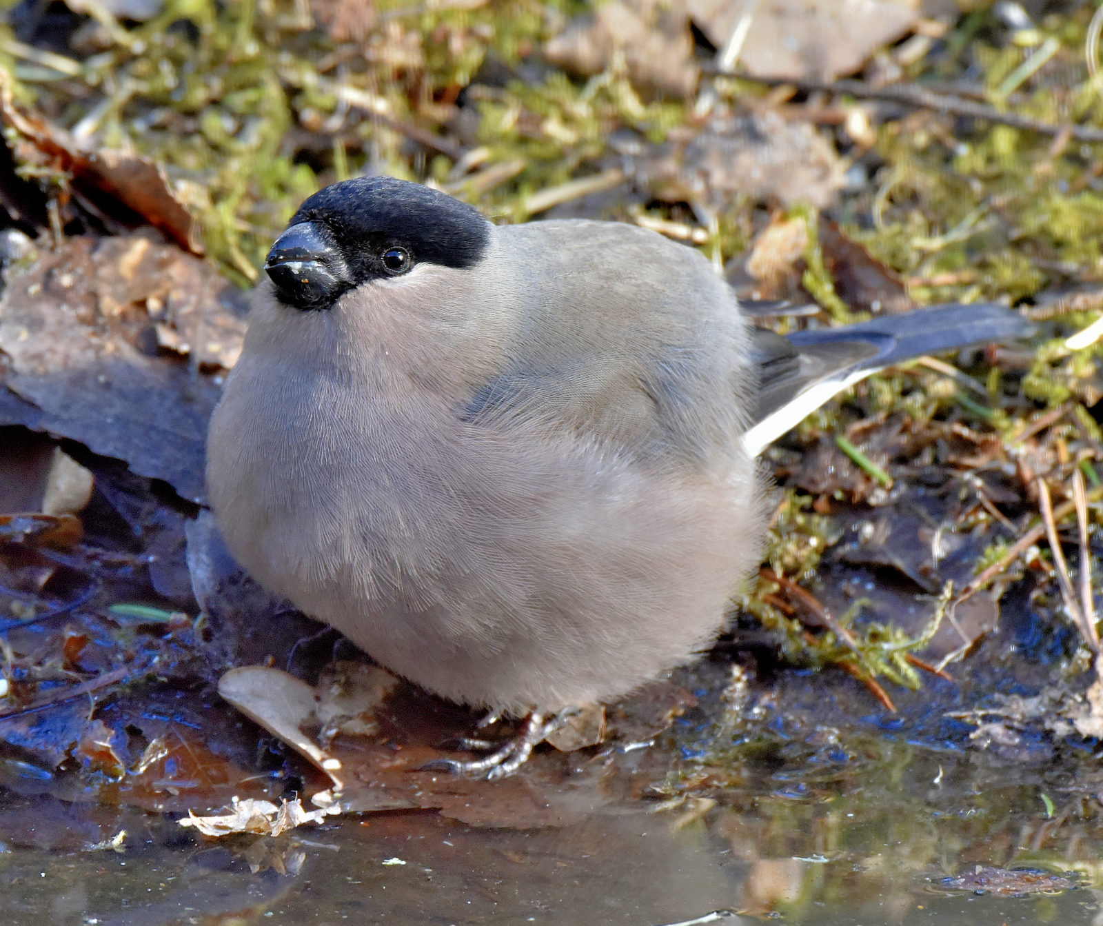 Valokuvaaja: Reijo Juurinen