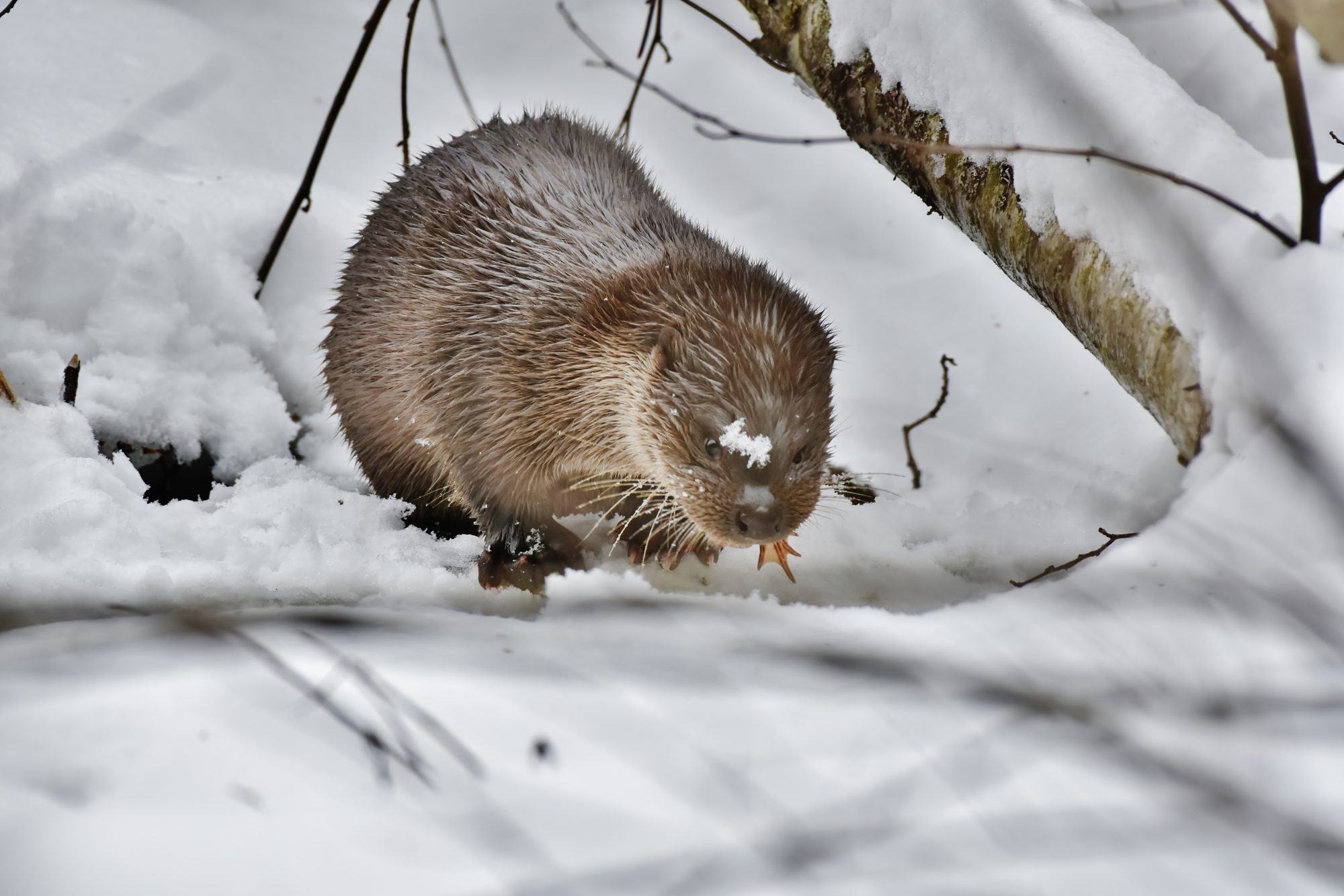 Valokuvaaja: Markku Pelkonen