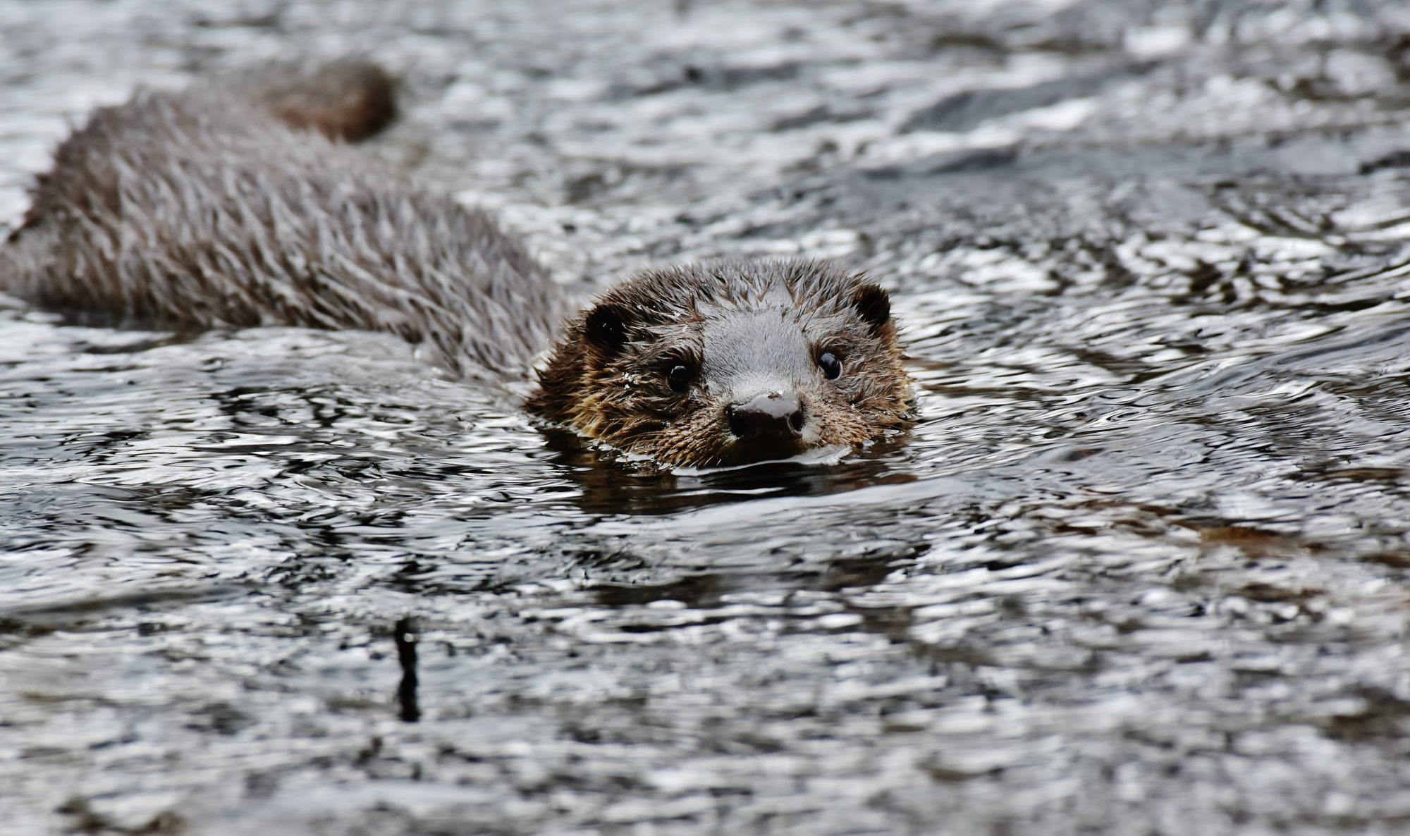 Valokuvaaja: Markku Pelkonen
