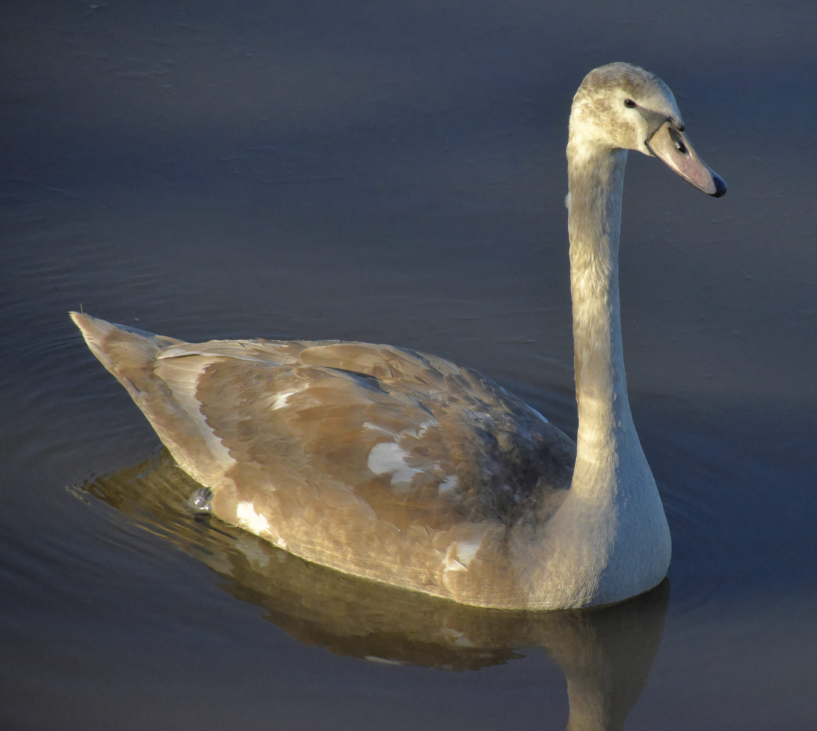Valokuvaaja: Reijo Juurinen