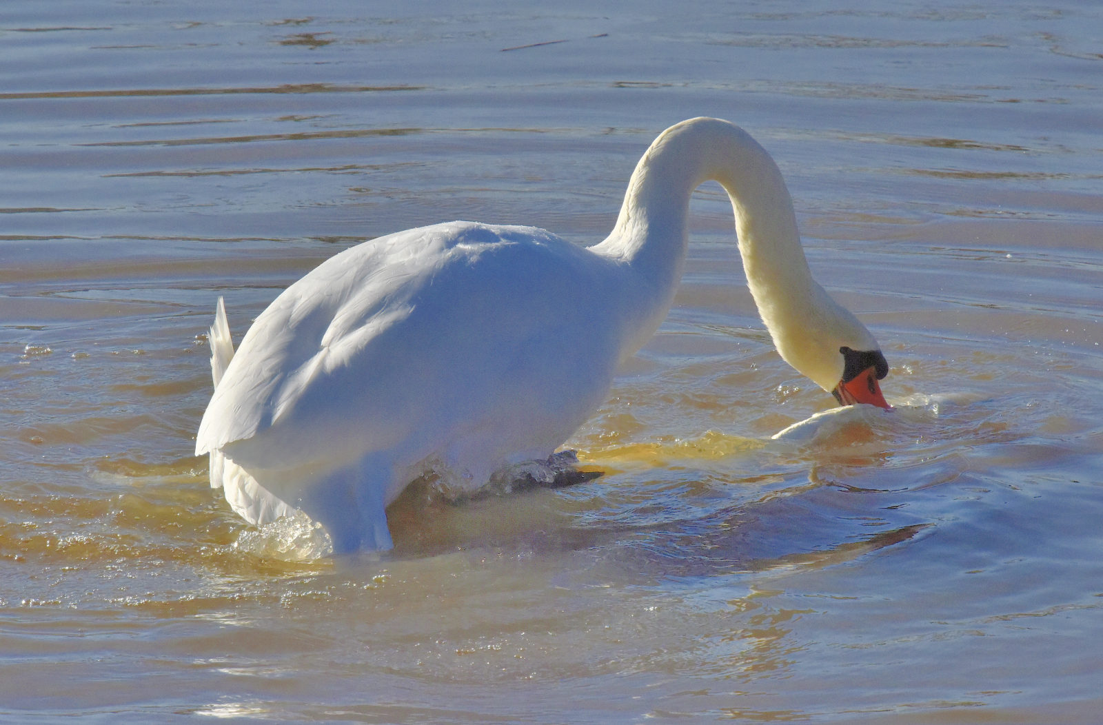 Valokuvaaja: Reijo Juurinen