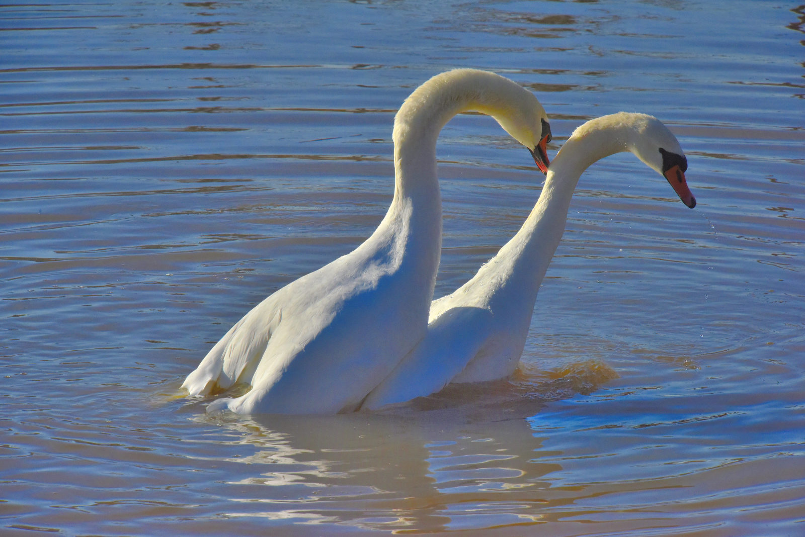 Valokuvaaja: Reijo Juurinen