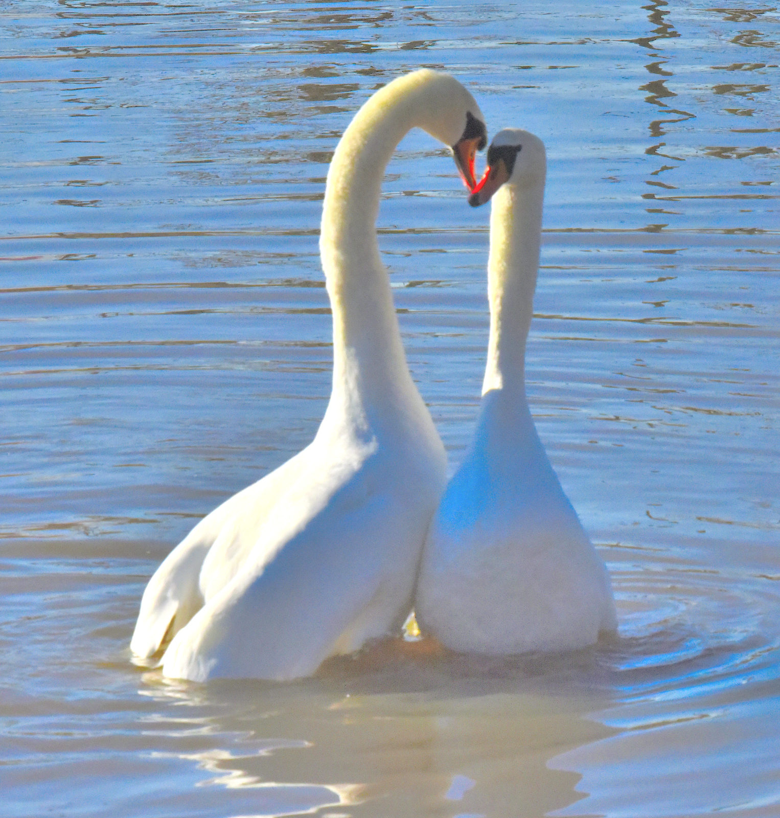 Valokuvaaja: Reijo Juurinen Valokuvaaja: Reijo Juurinen