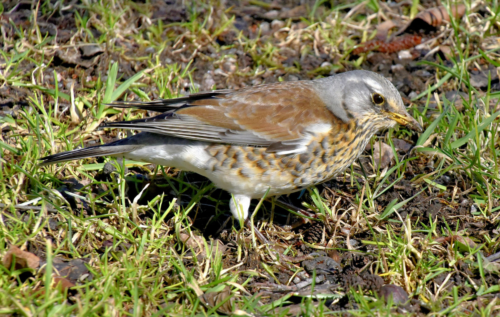 Valokuvaaja: Reijo Juurinen