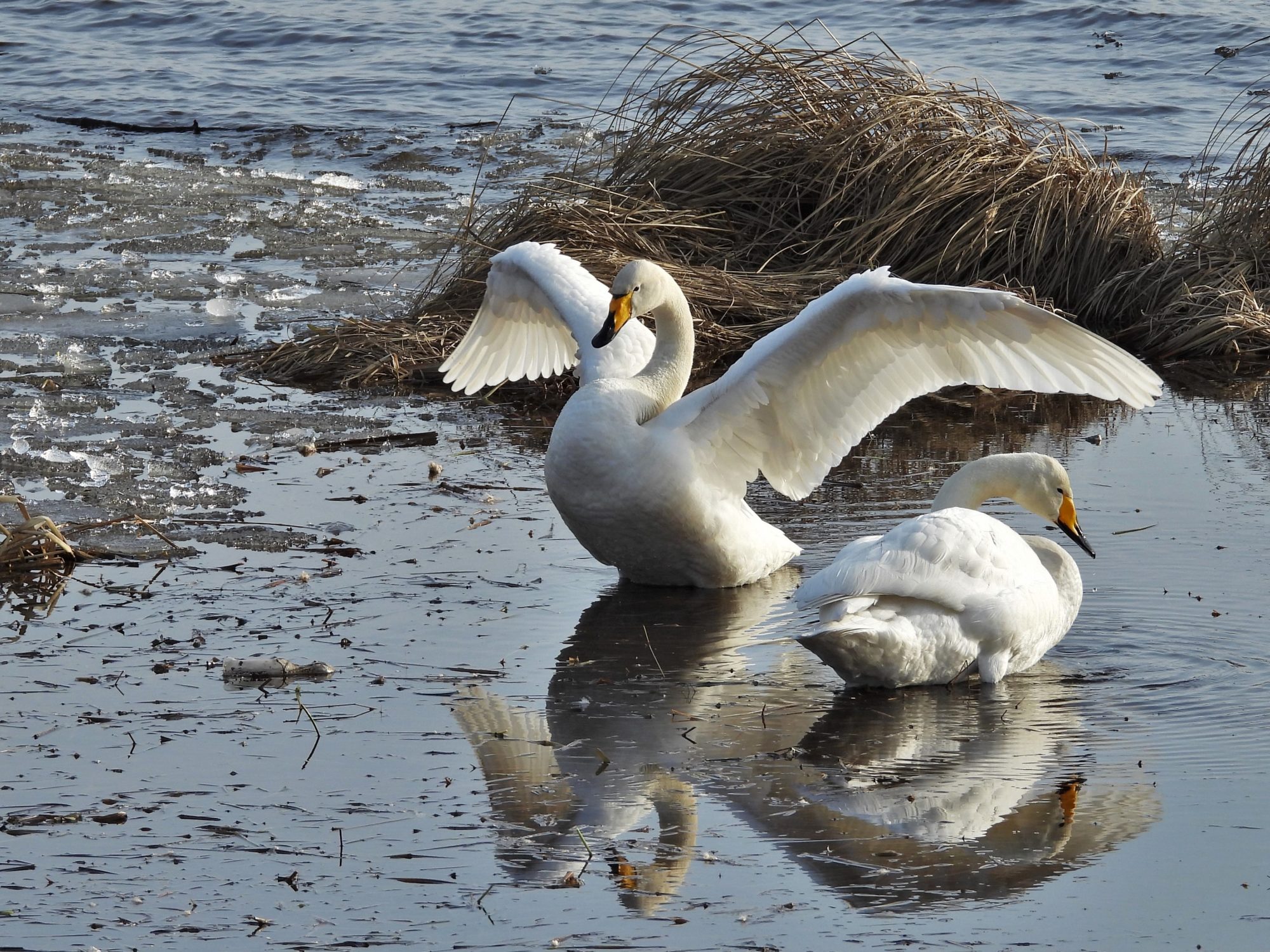 Valokuvaaja: Maarit Siitonen